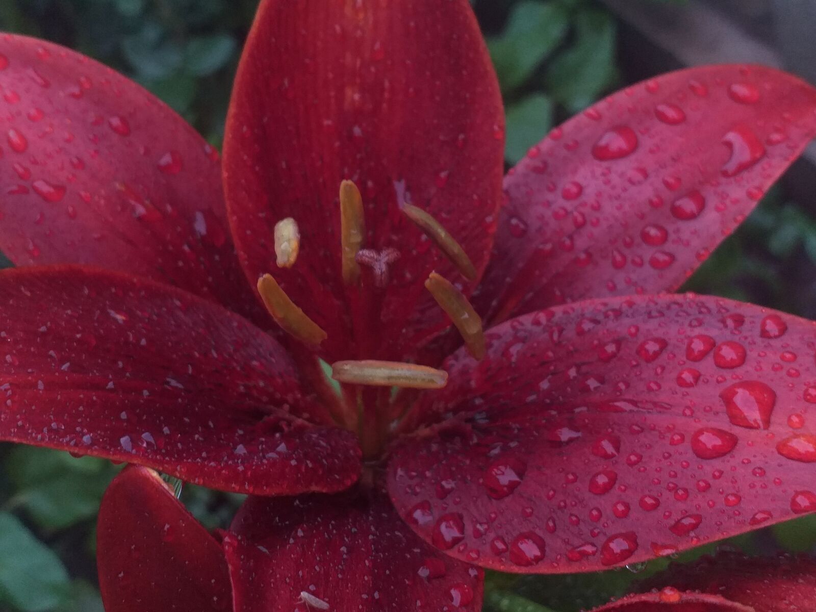 Samsung Galaxy J6+ sample photo. Introducere, guru, natale photography