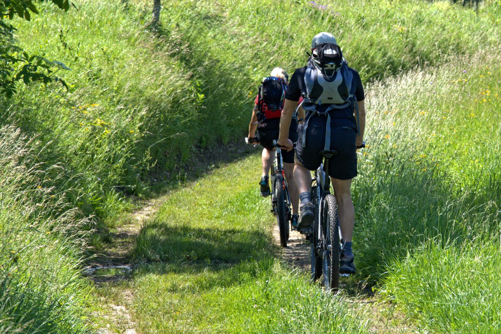 55.0-200.0mm f/4.0-f/5.6 sample photo. Cyclists, nature, meadow photography