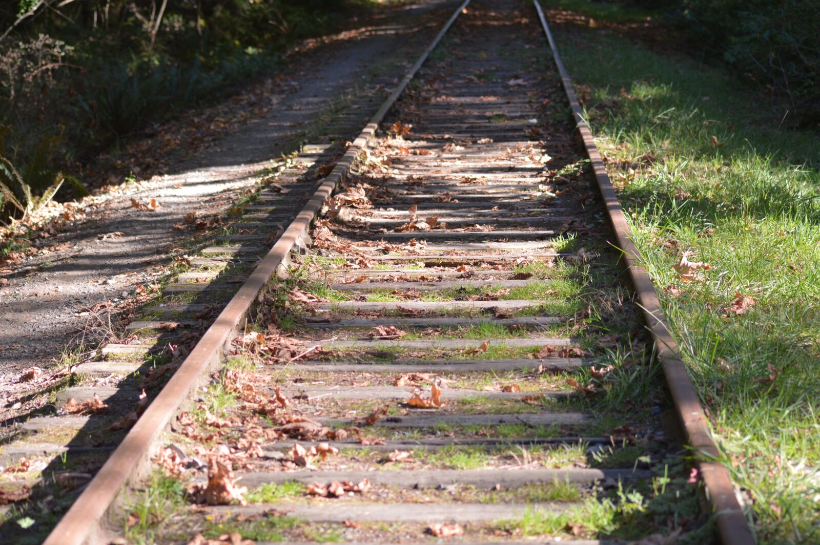 Nikon D3200 sample photo. Train, tracks, rail photography