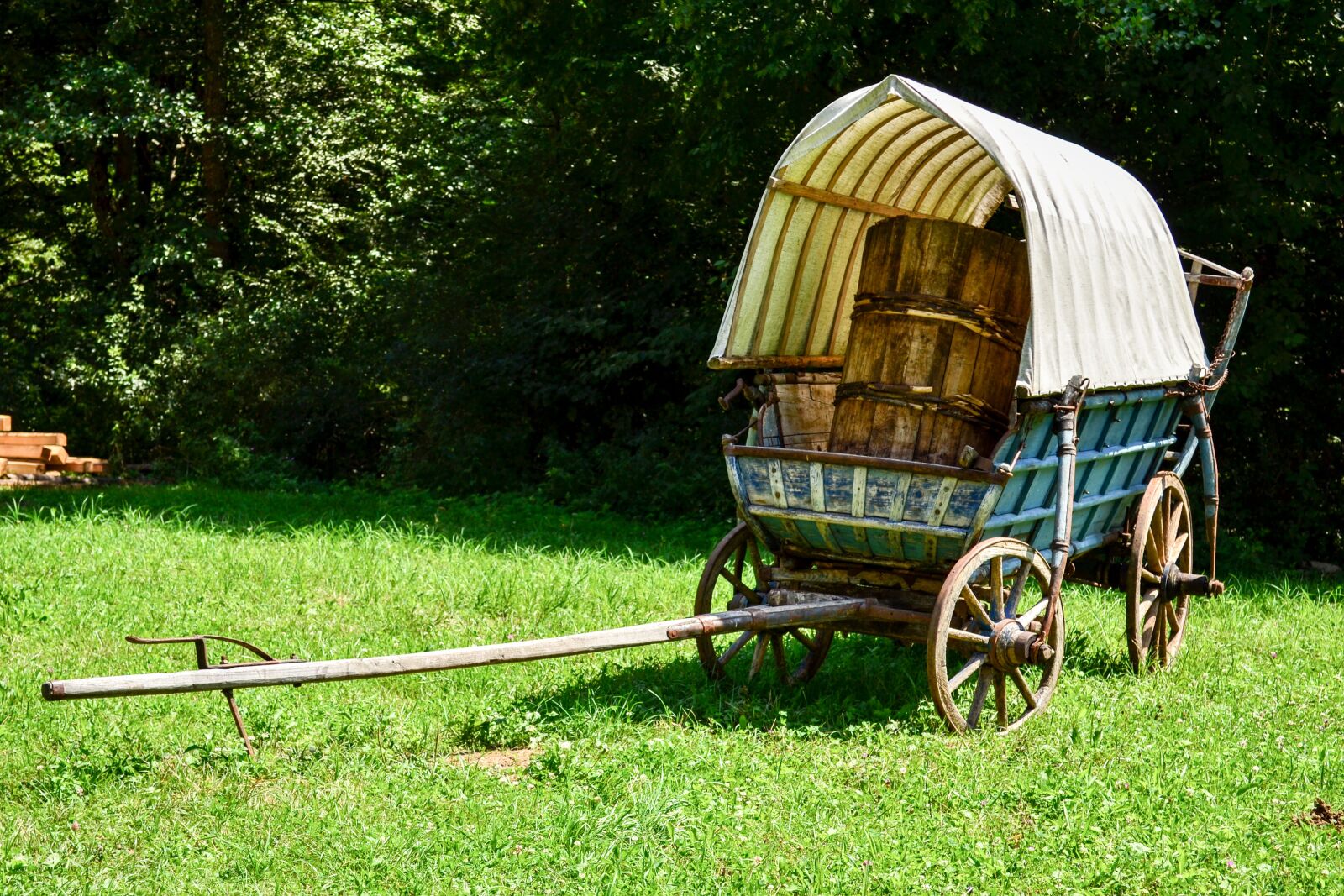 Nikon D3100 sample photo. Carriage, old, traditional photography