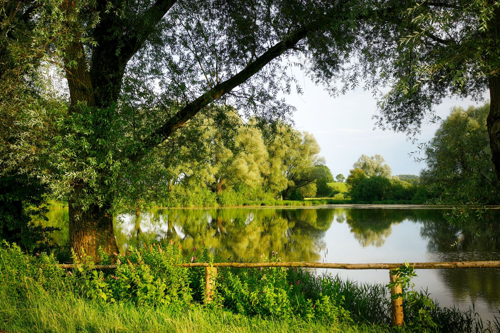 Panasonic Lumix DMC-GX8 sample photo. Lake, pond, tree photography