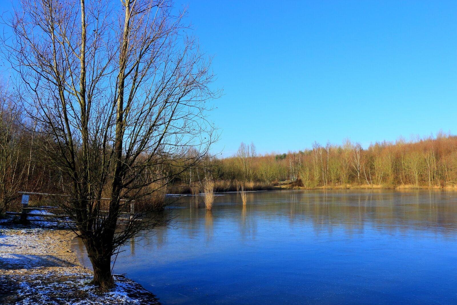 Canon EOS 700D (EOS Rebel T5i / EOS Kiss X7i) sample photo. Winter, lake, cold photography