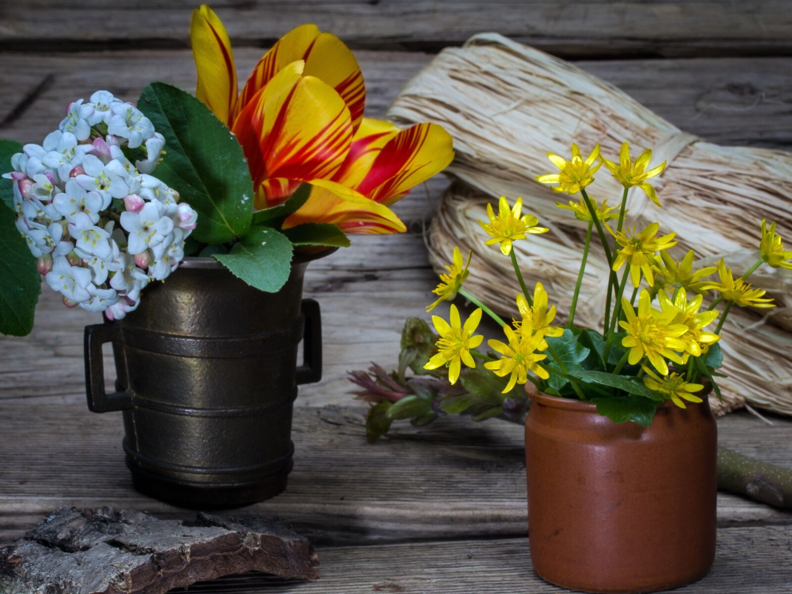 Canon EF-S 60mm F2.8 Macro USM sample photo. Still life, flowers, cup photography