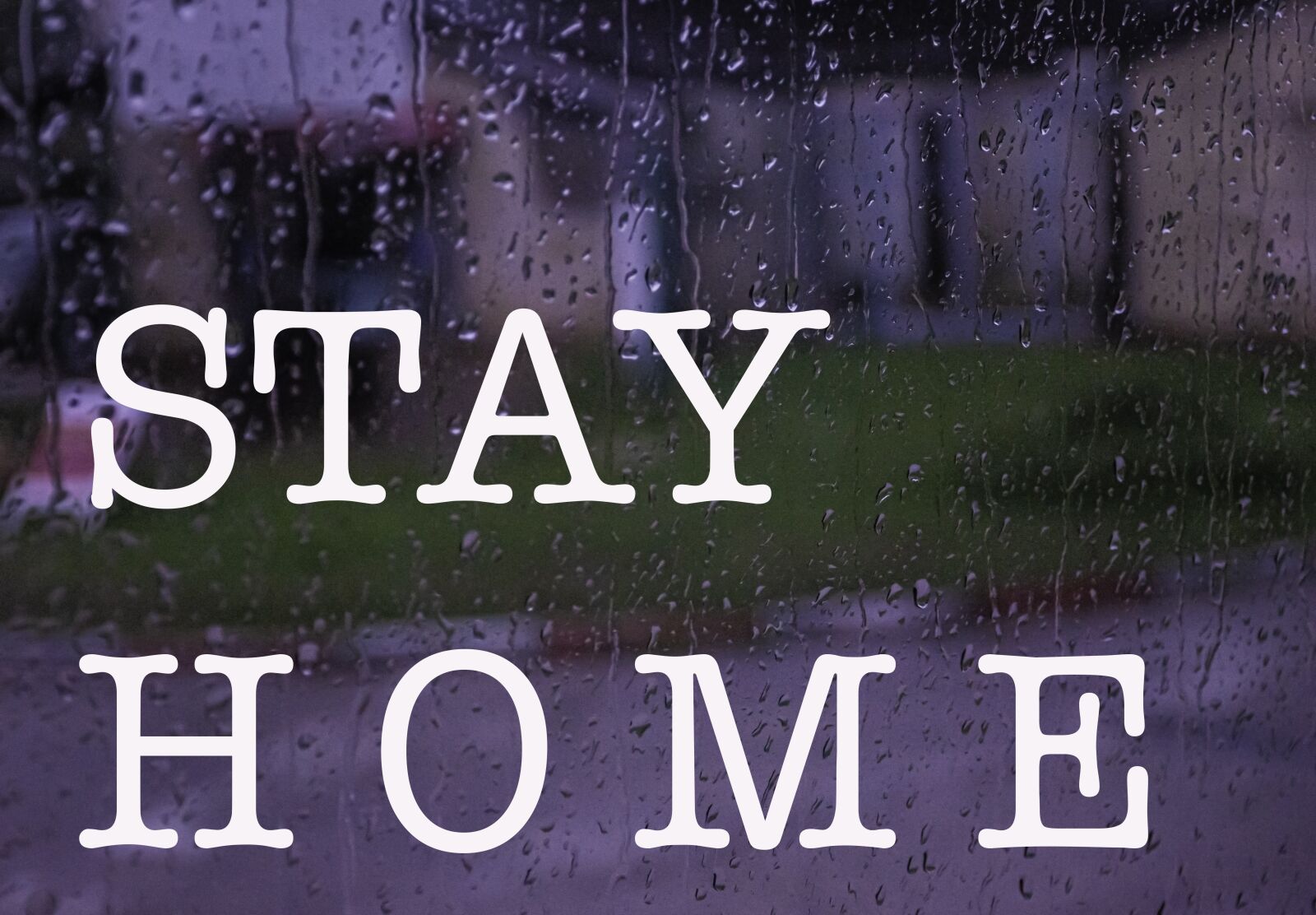 Nikon D5600 sample photo. Stay home, window, covid-19 photography