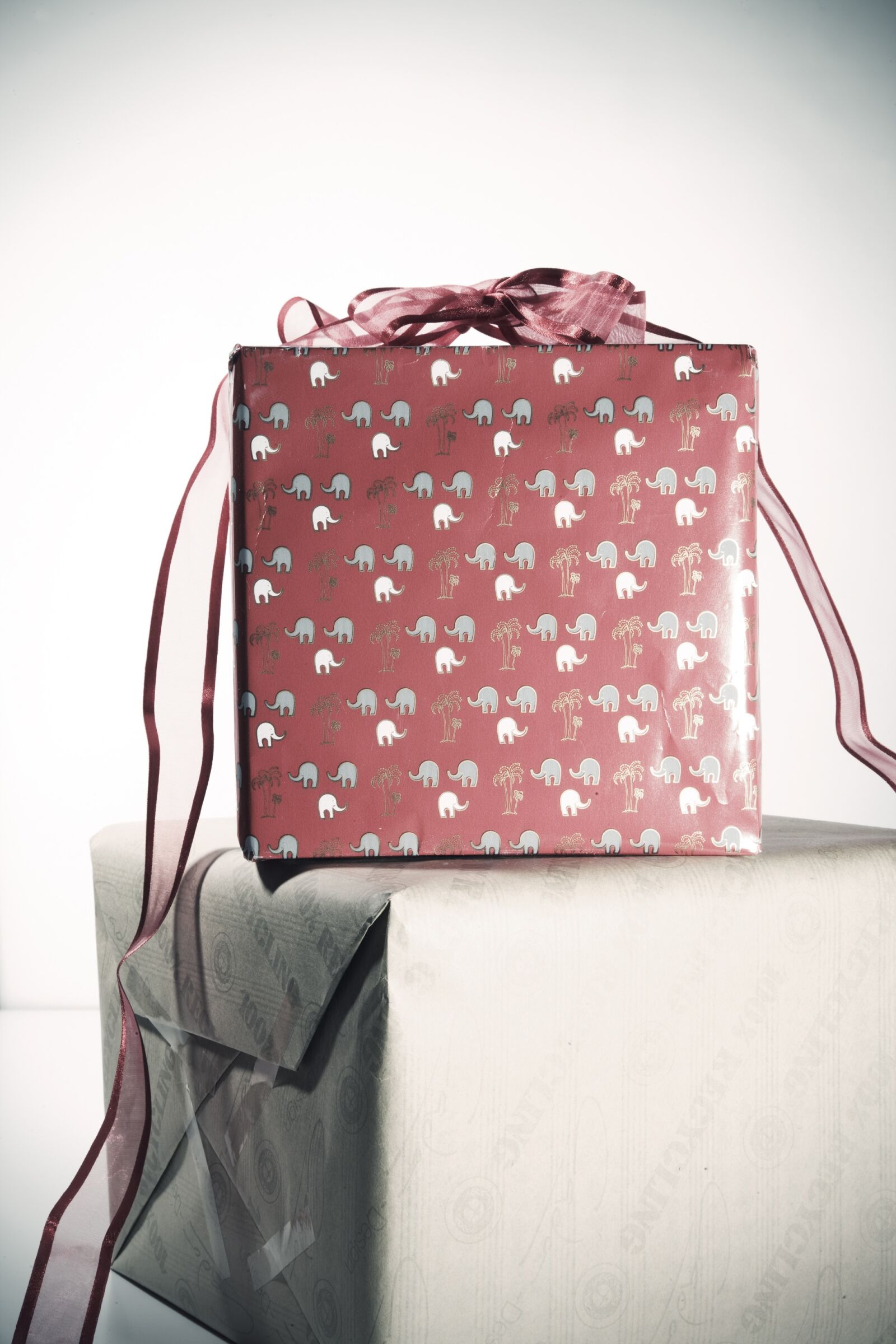 Canon EOS-1Ds Mark III sample photo. Christmas, package, gift photography