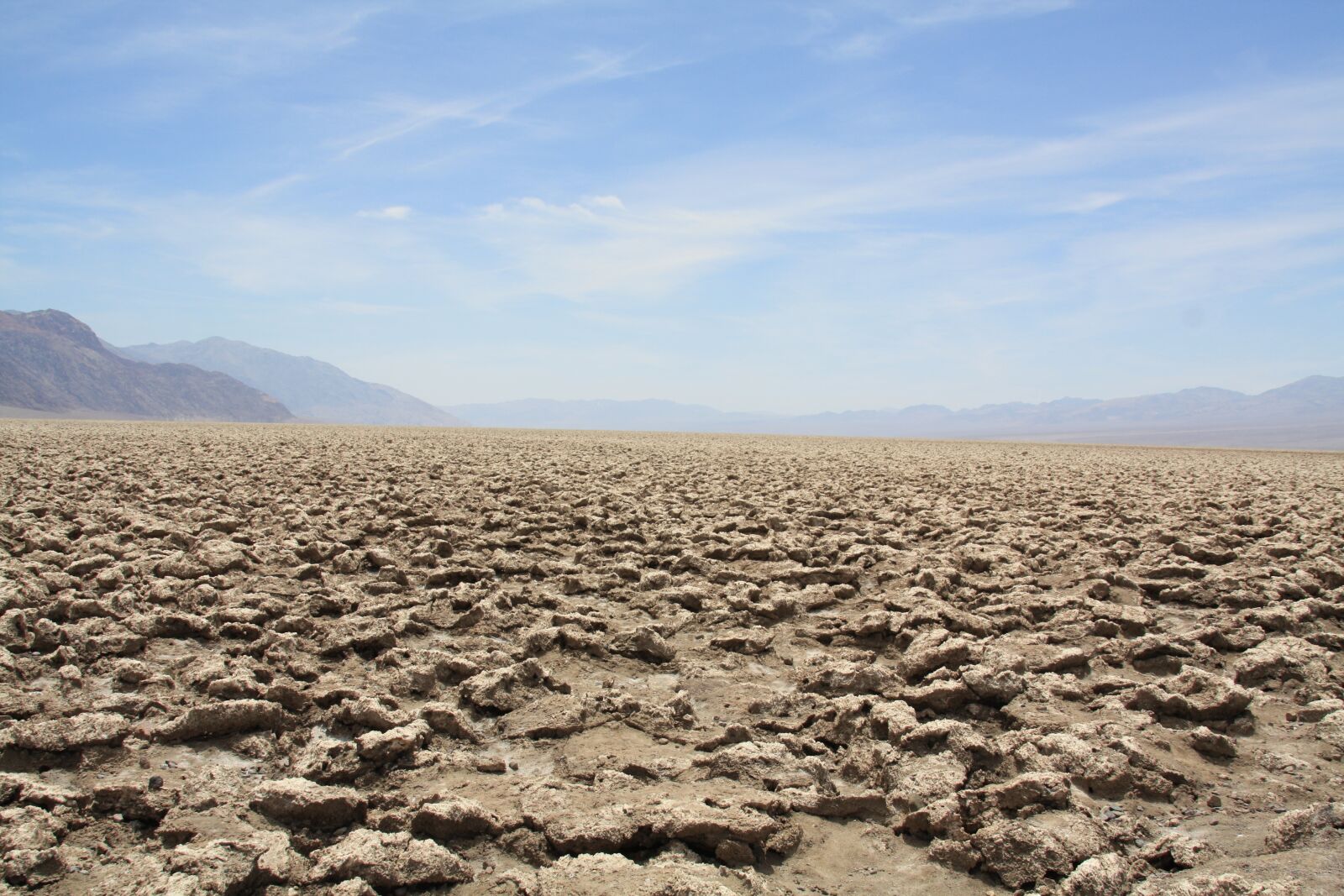 Canon EOS 450D (EOS Rebel XSi / EOS Kiss X2) sample photo. Desert, dry, parched photography