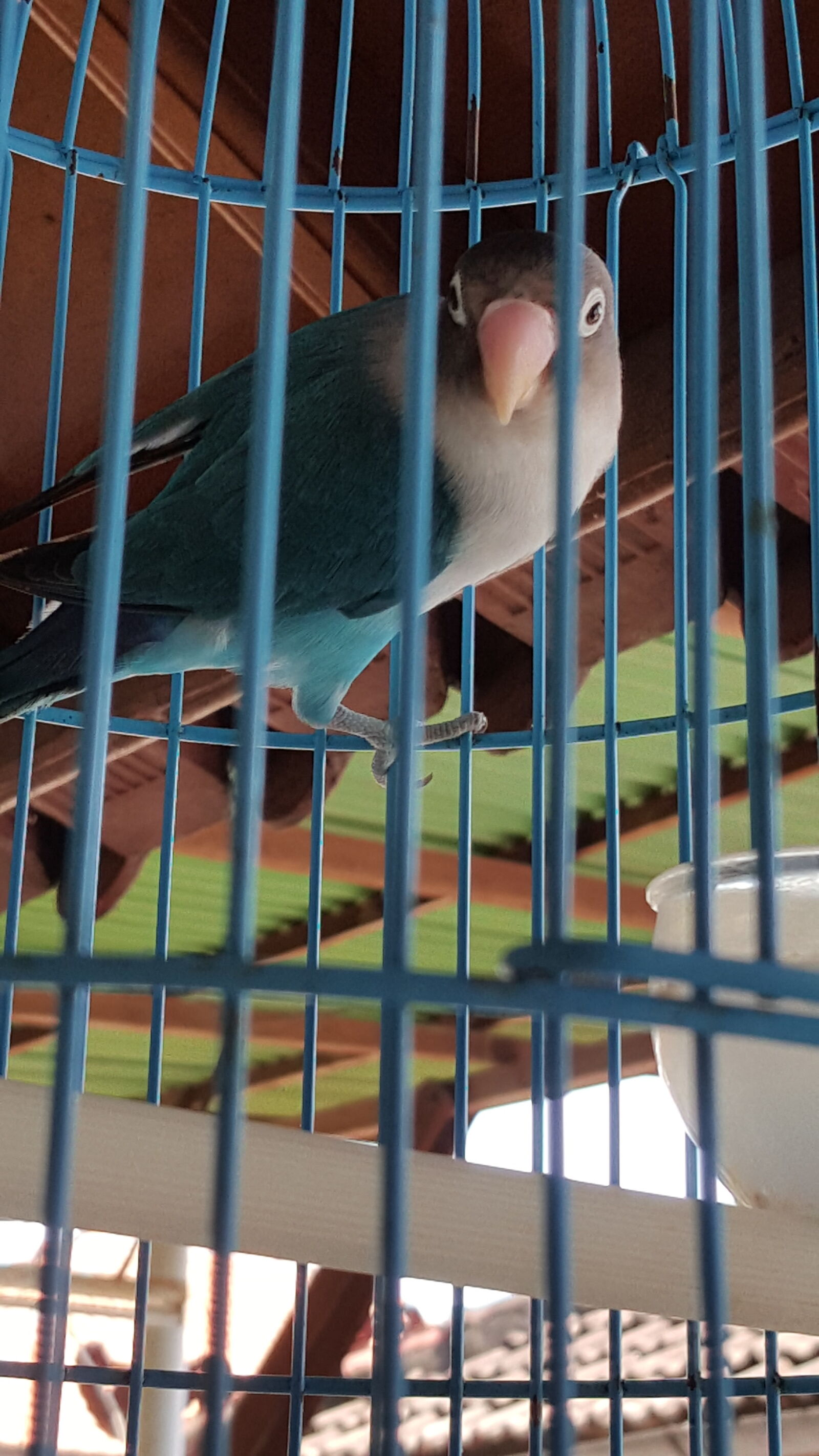 Samsung Galaxy Note5 sample photo