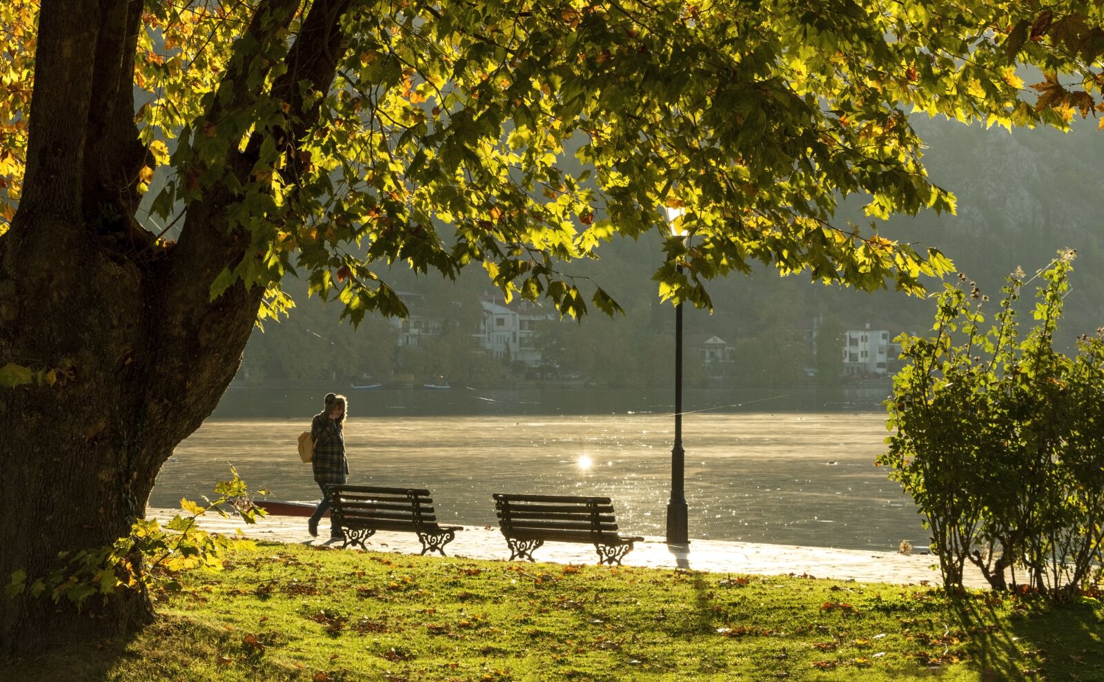 Tamron SP 24-70mm F2.8 Di VC USD sample photo. Fall, autumn greece, kastoria photography