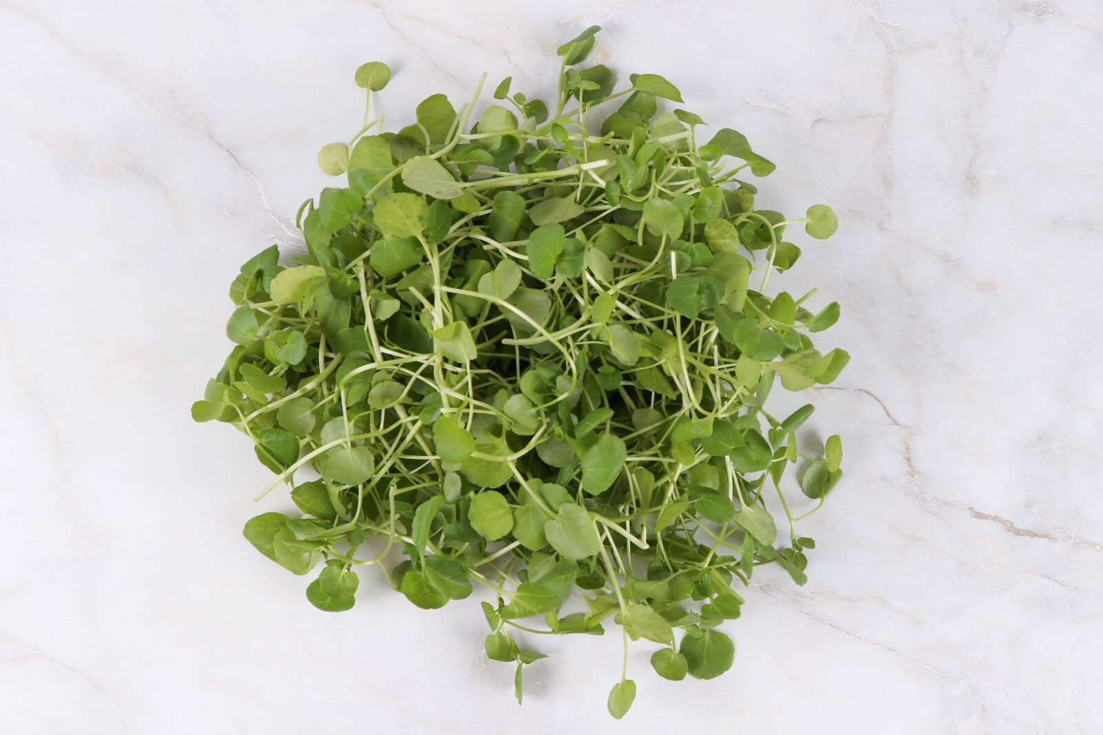 Canon EF-S 18-135mm F3.5-5.6 IS USM sample photo. Watercress, crazy la, cresson photography