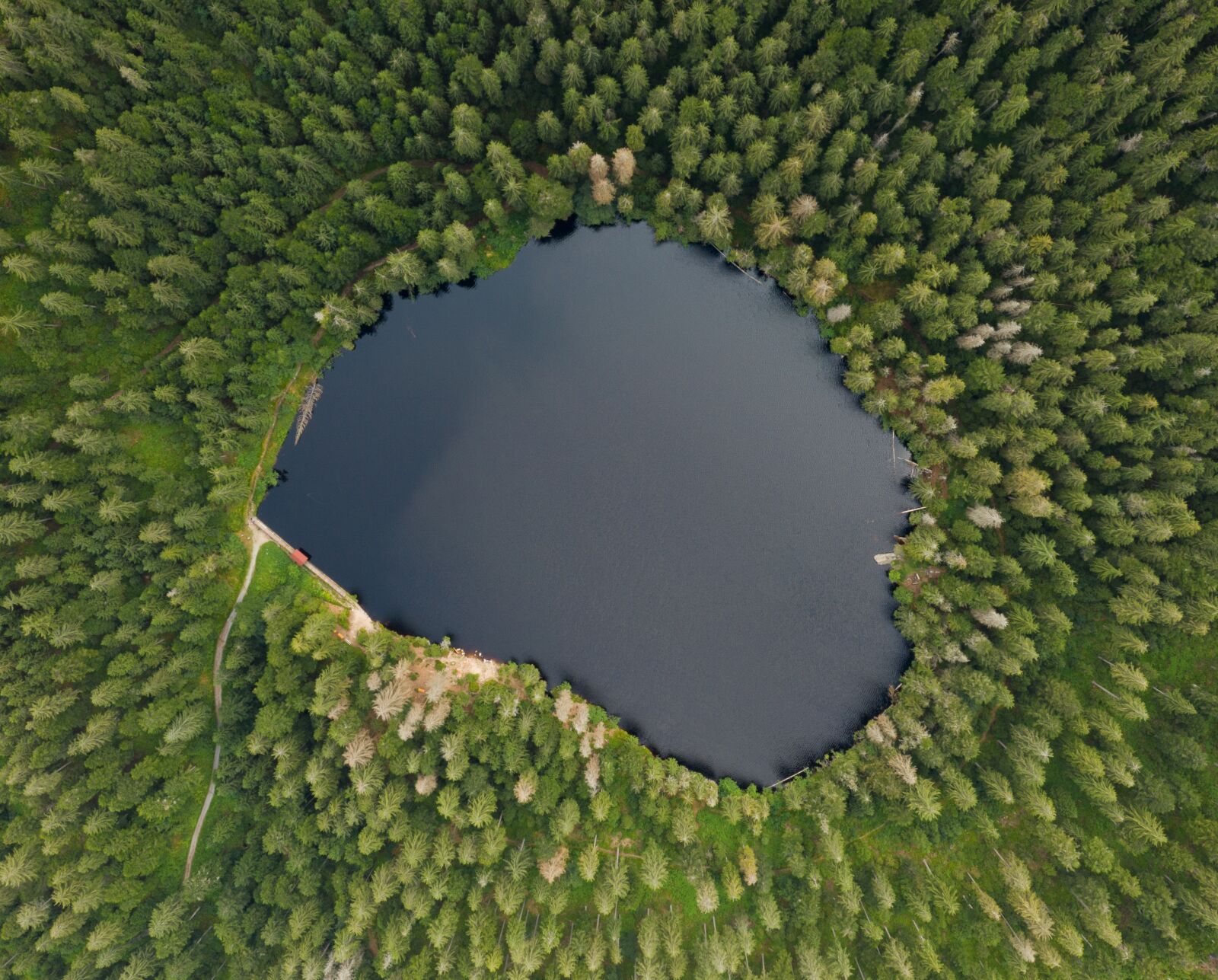 Hasselblad L1D-20c sample photo. Lake, water, forest photography