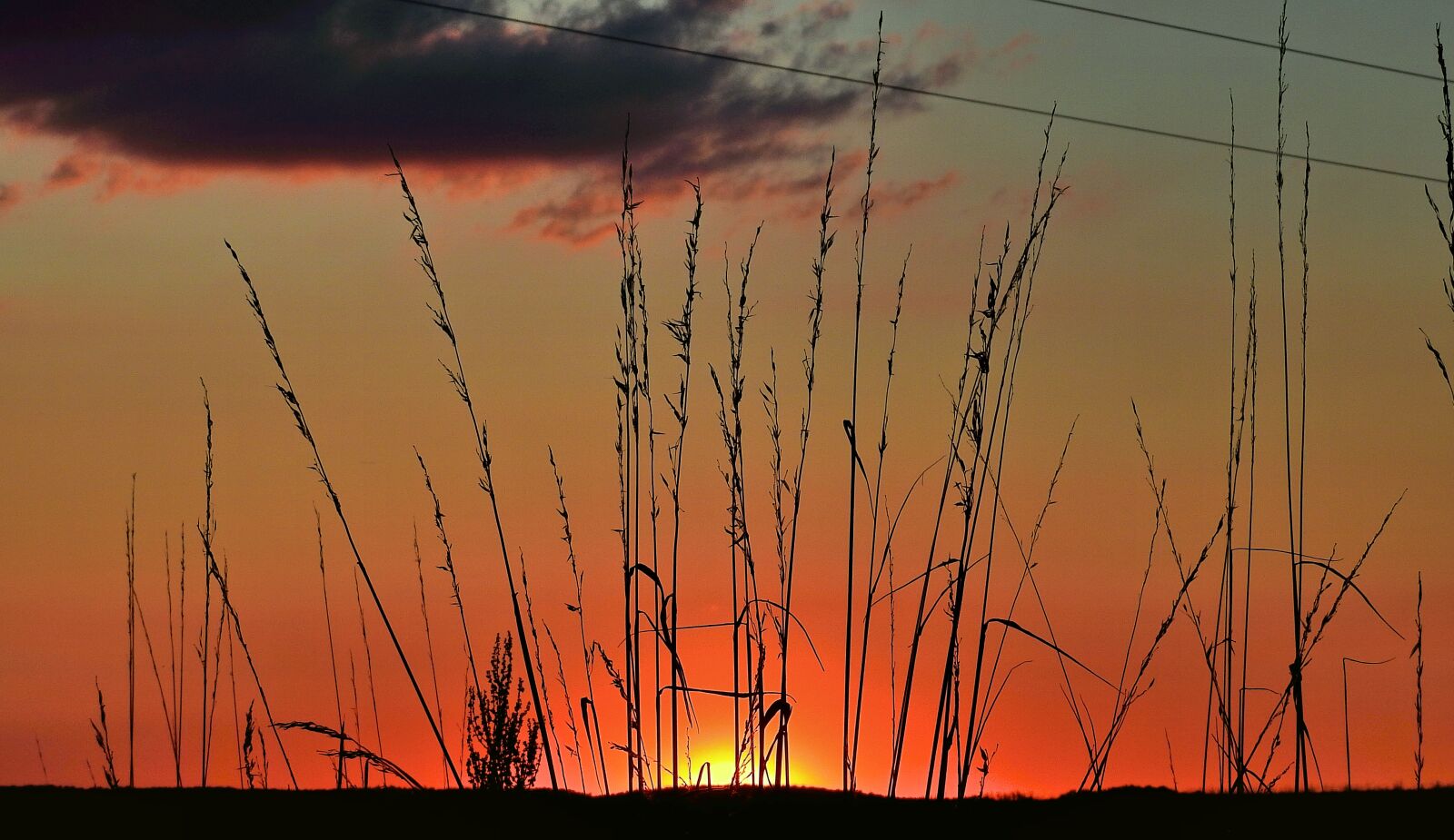 Nikon Coolpix P900 sample photo. Sunset, meadow, landscape photography