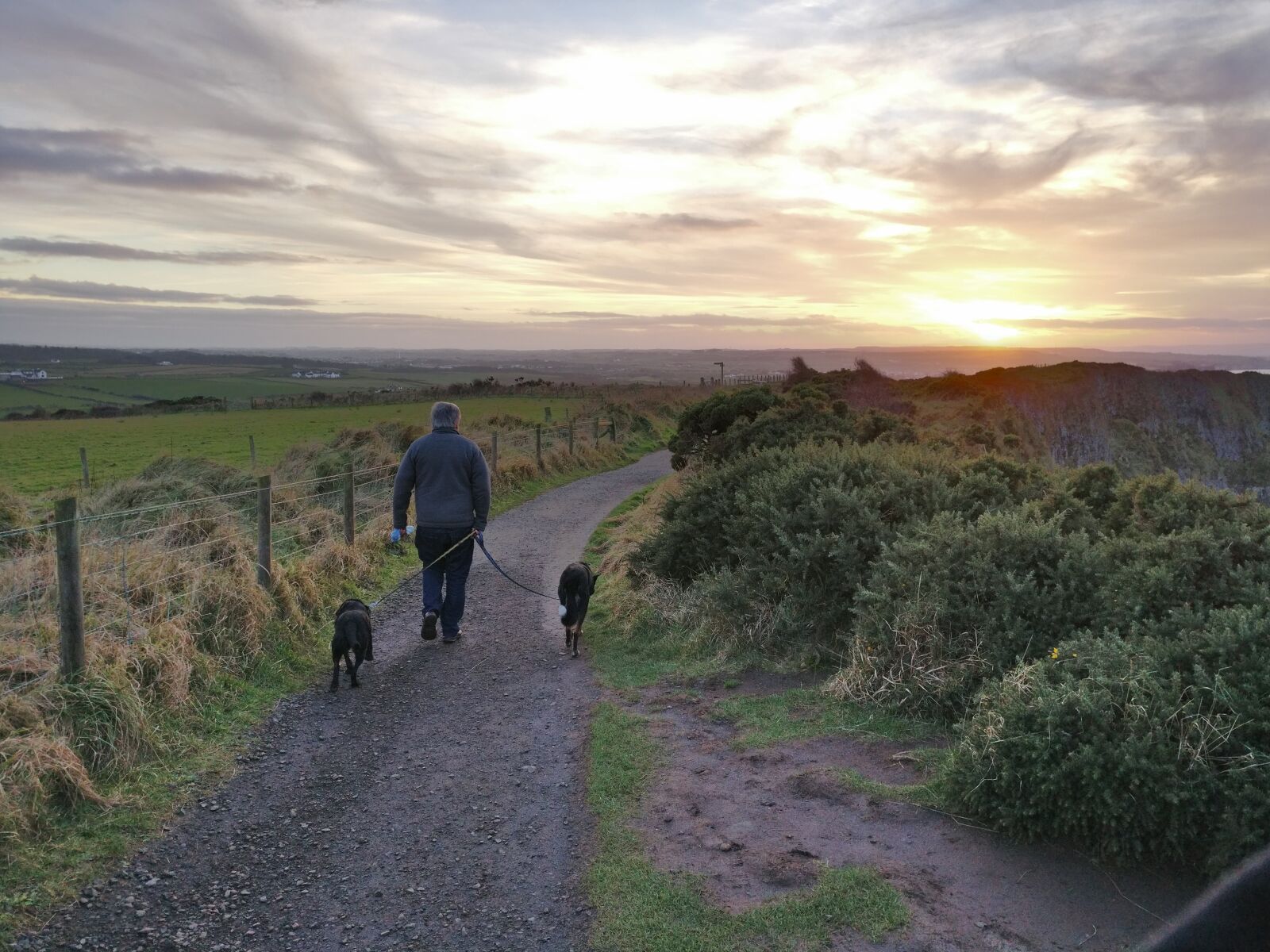 OnePlus A3000 sample photo. Ireland, dogs, walking photography
