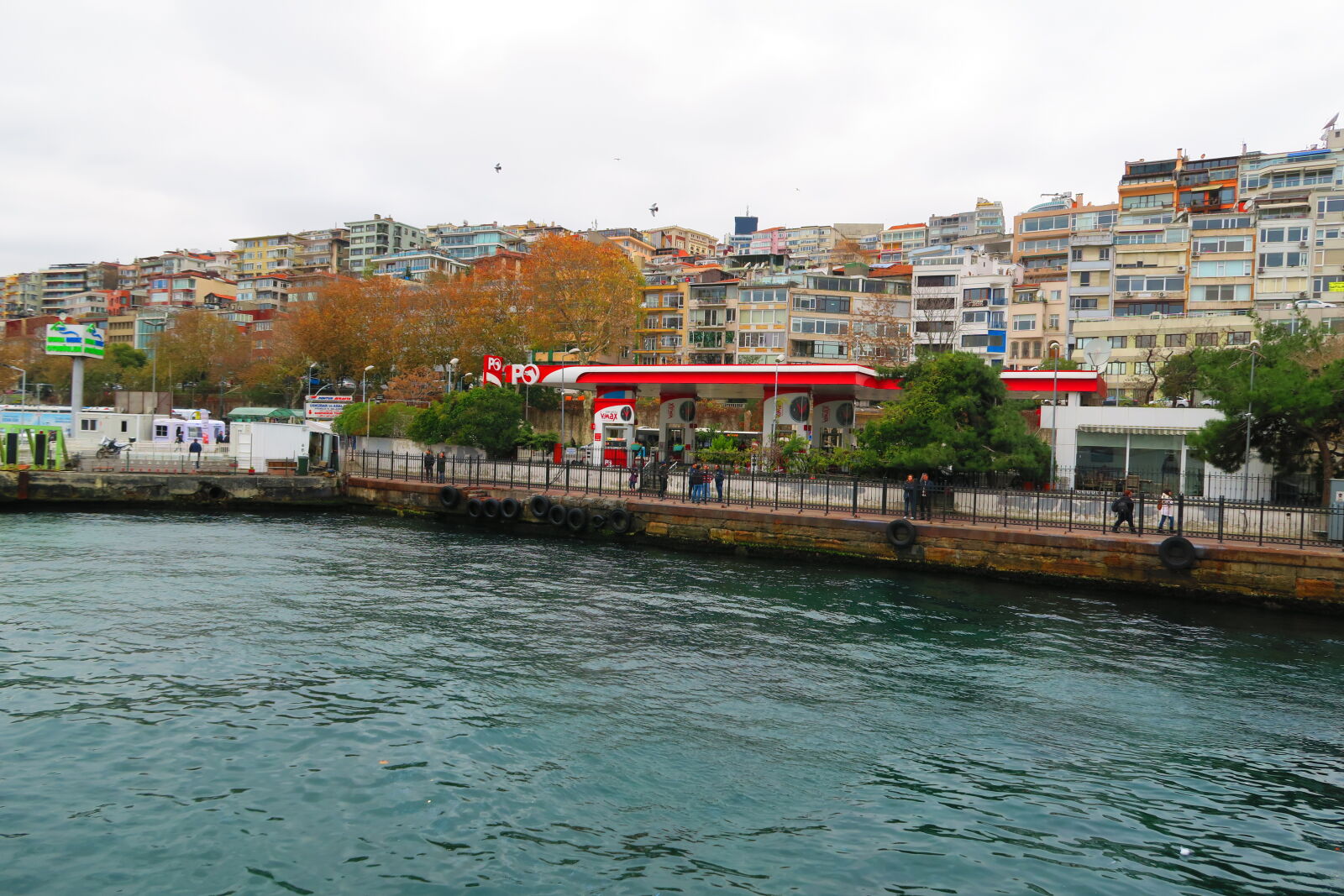 Canon PowerShot G7 X sample photo. Istanbul, jellyfish, sea, turkey photography