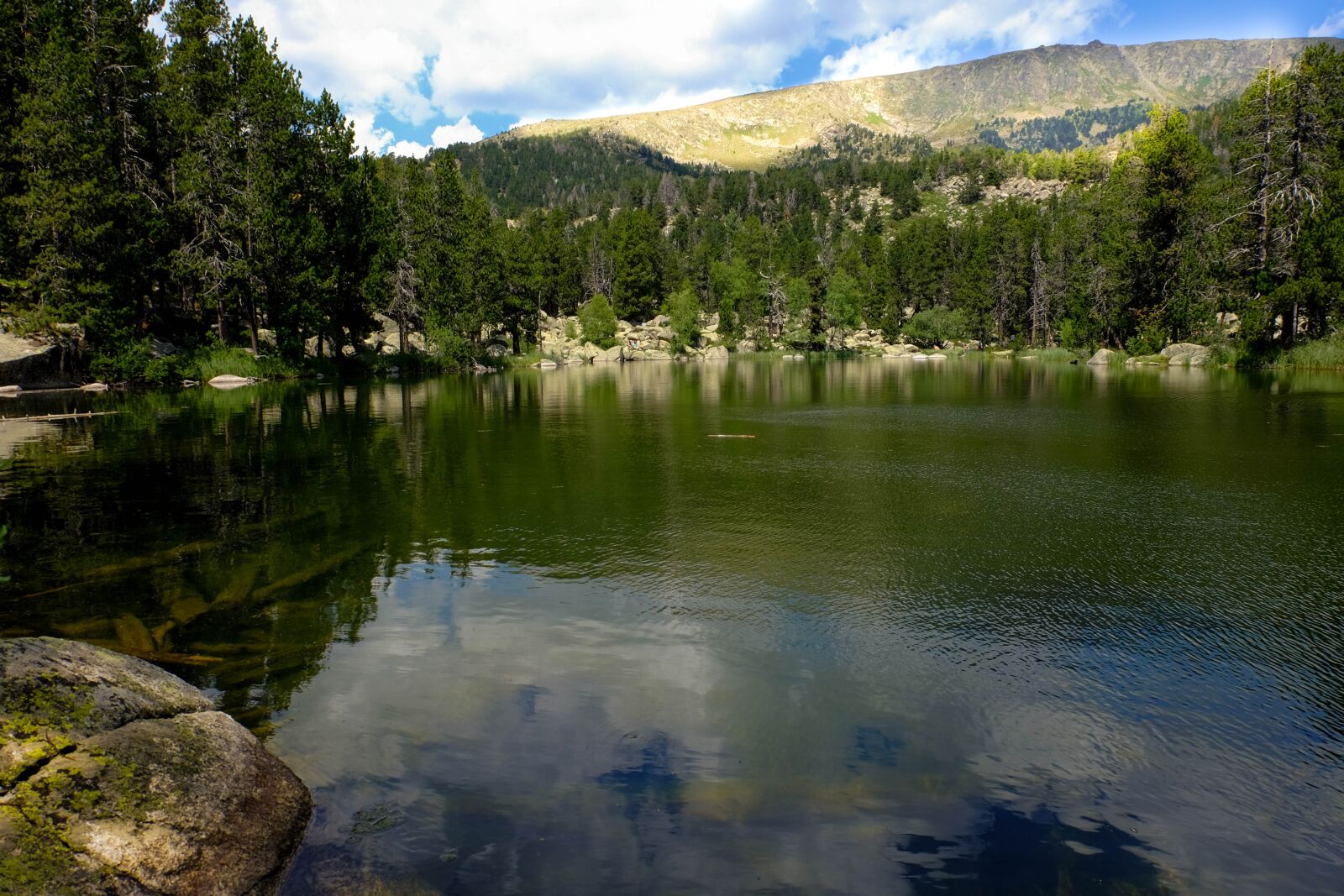 Fujifilm X-E2 sample photo. Water, forest, landscape photography