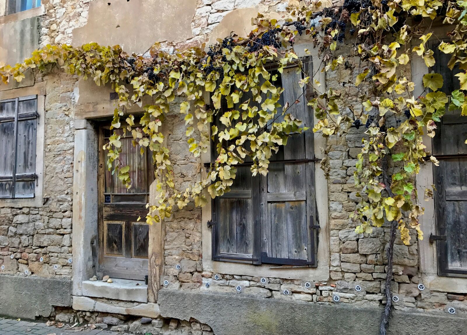 Apple iPhone 7 sample photo. Wine, wall, facade photography