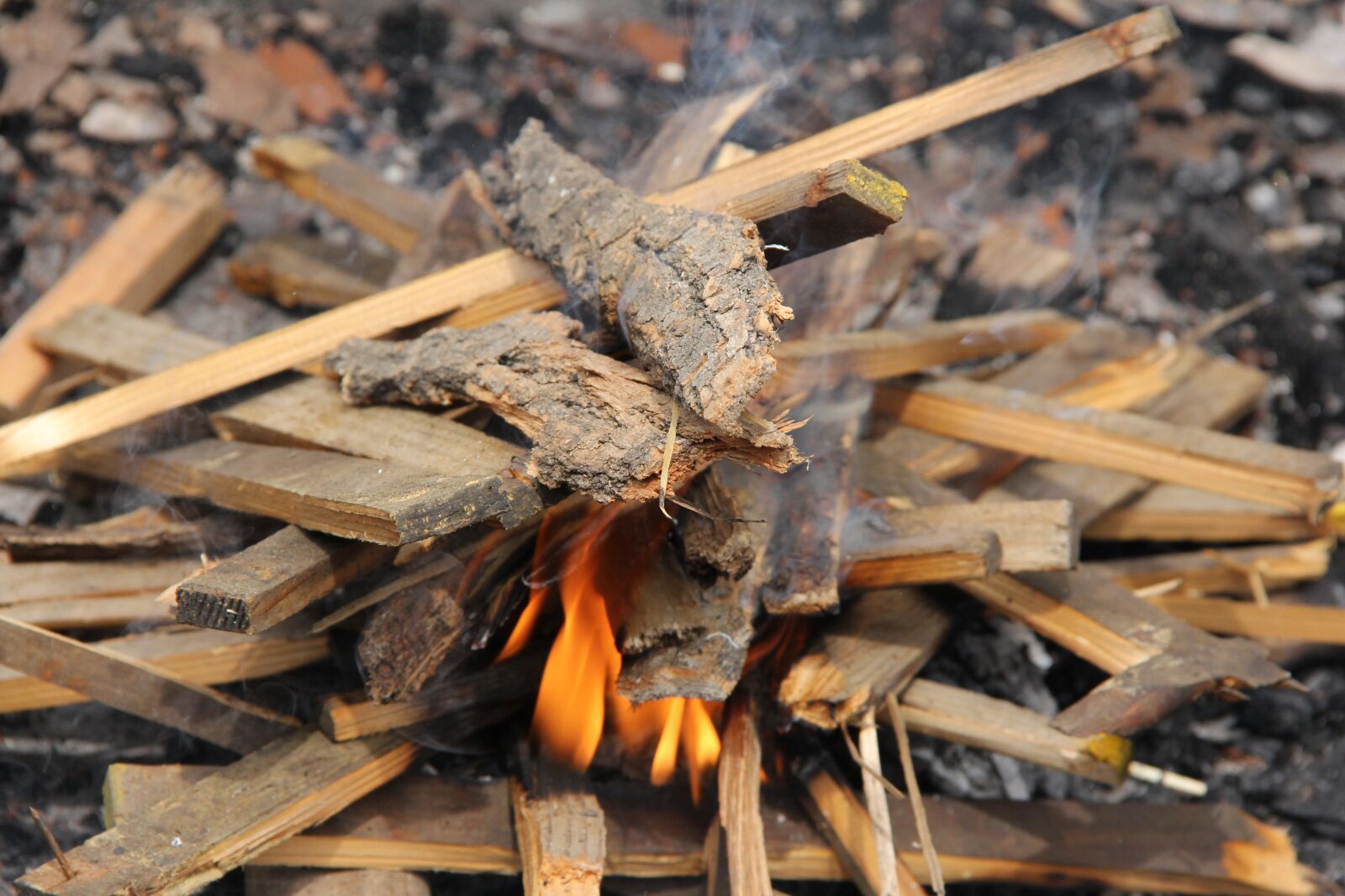 Canon EOS 60D sample photo. Fire, cooking, flame photography