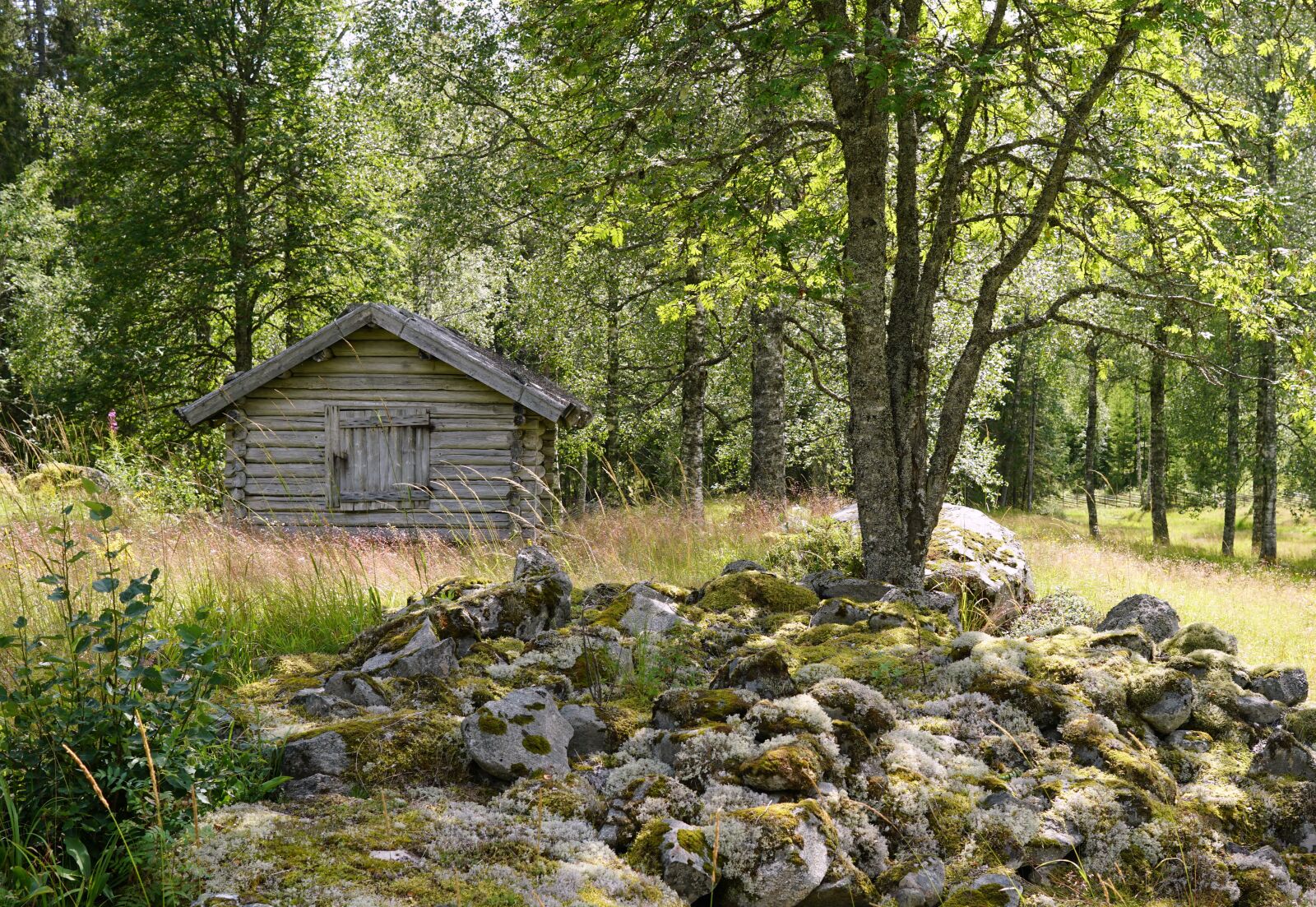 30mm F1.4 DC DN | Contemporary 016 sample photo. Sweden, hut, scandinavia photography