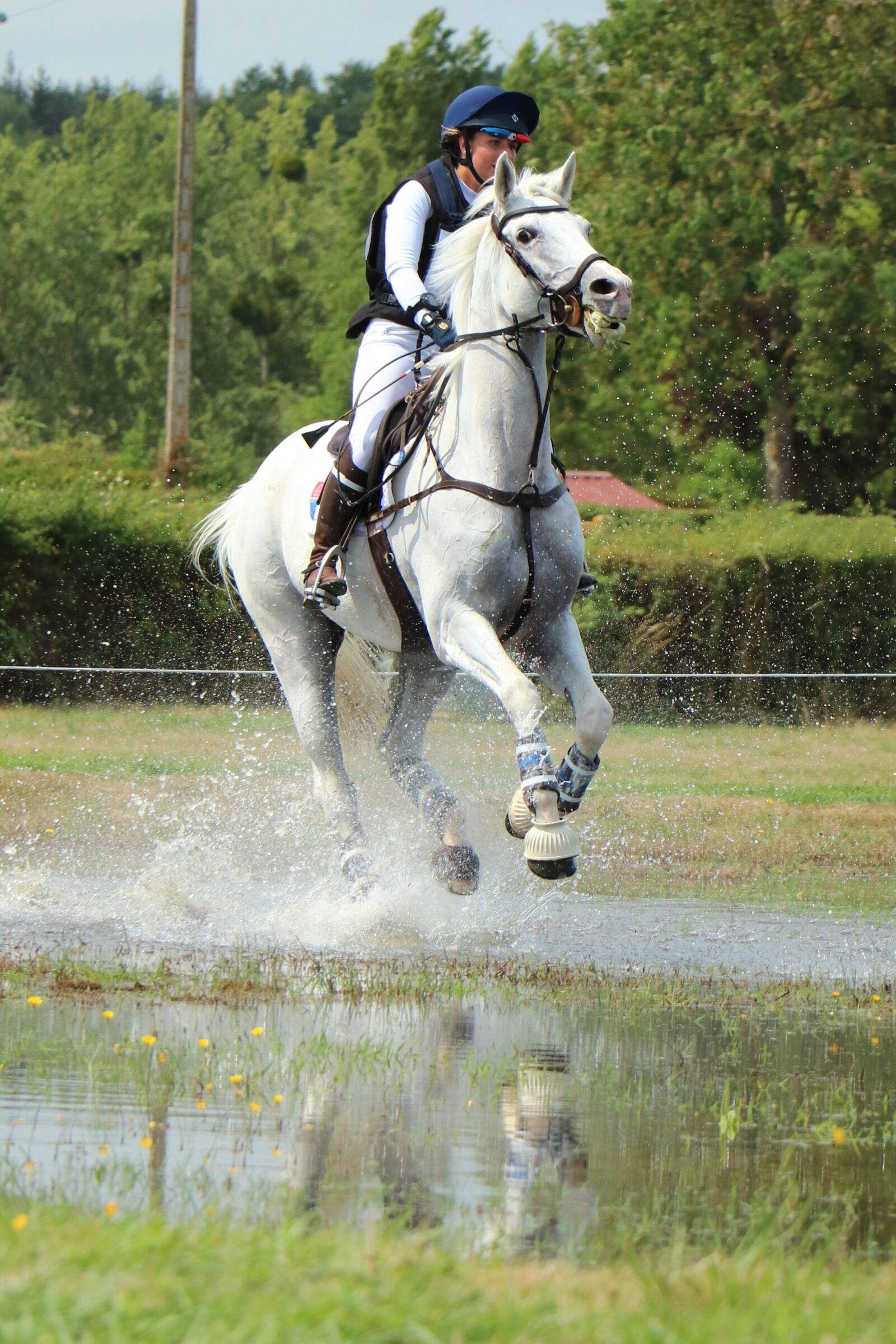 Canon EOS 750D (EOS Rebel T6i / EOS Kiss X8i) sample photo. Haras du pin, national photography