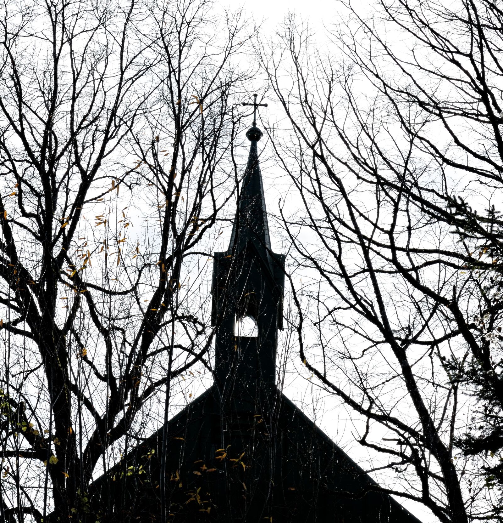 Nikon D7100 sample photo. Silhouette, shadow, outline photography