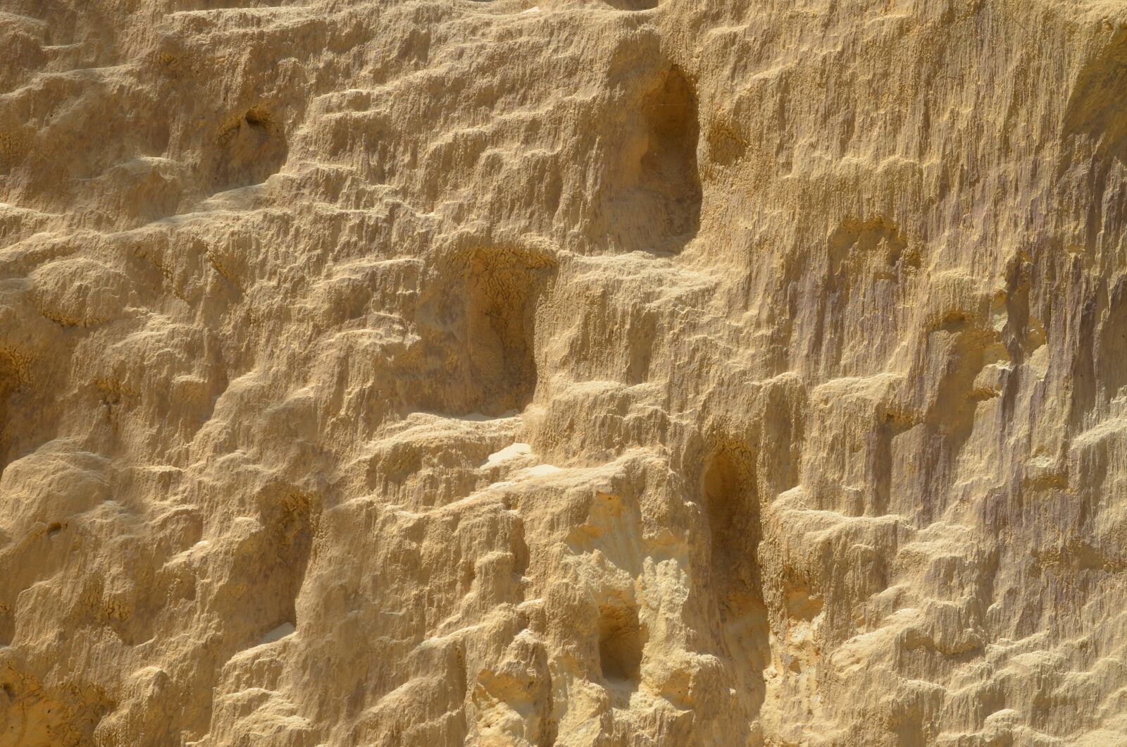 Nikon D7000 sample photo. Background, sand, wall photography