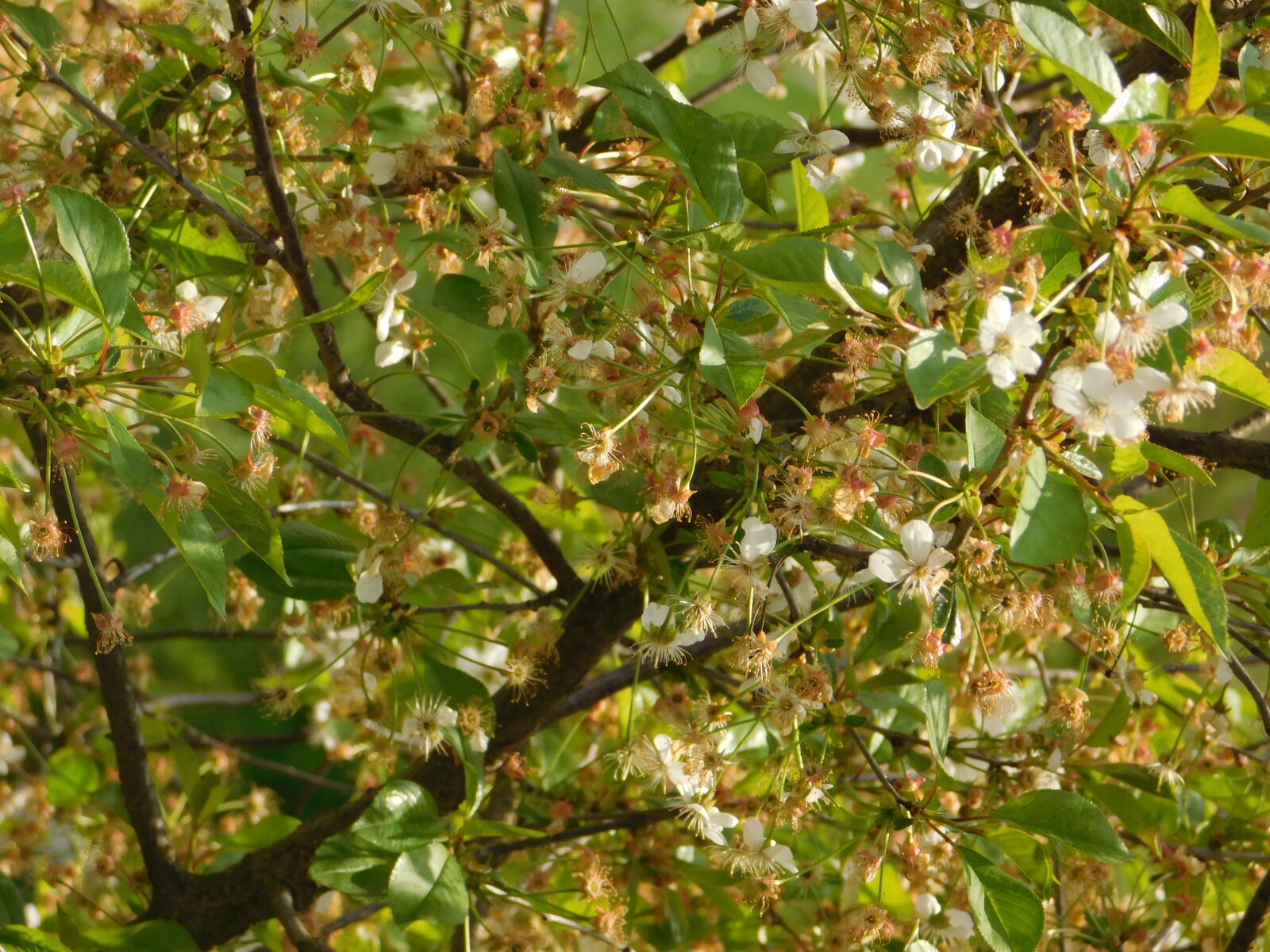 Nikon Coolpix L840 sample photo