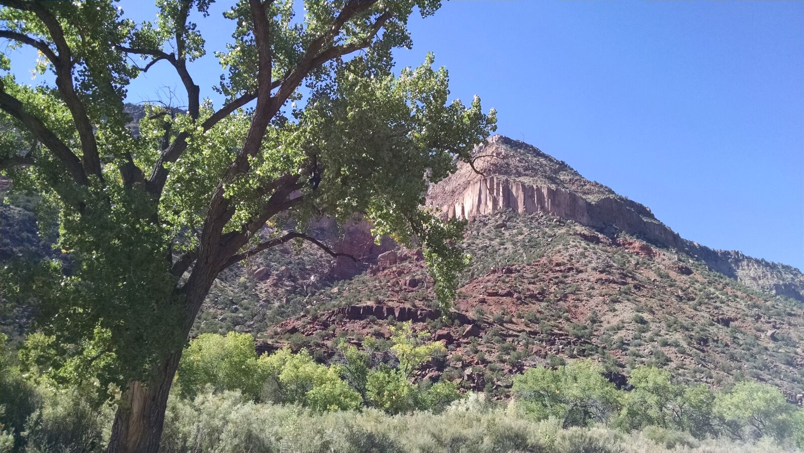 Motorola XT1080 sample photo