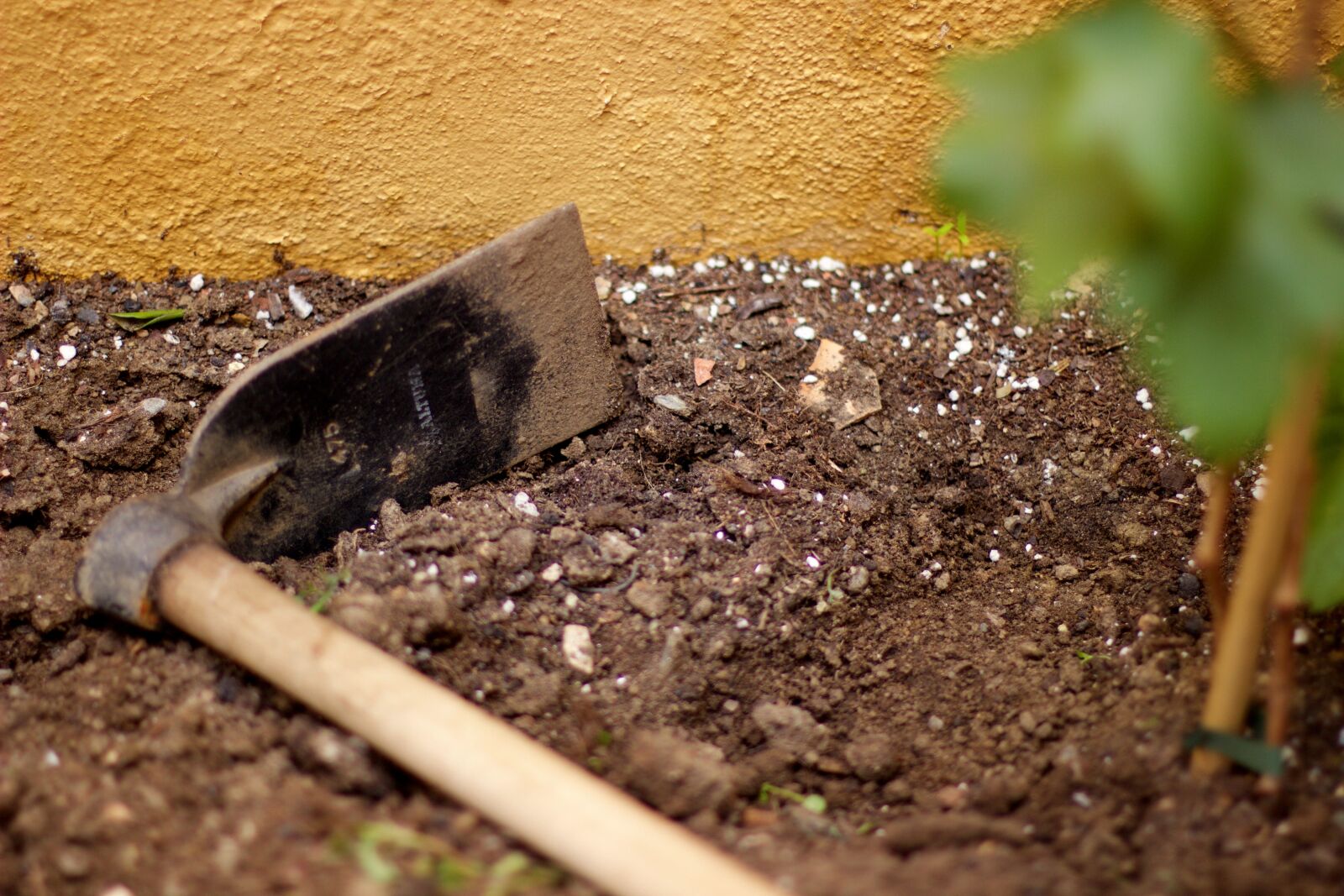 Canon EOS 600D (Rebel EOS T3i / EOS Kiss X5) + Canon EF 50mm F1.4 USM sample photo. Dirt, ground, soil photography