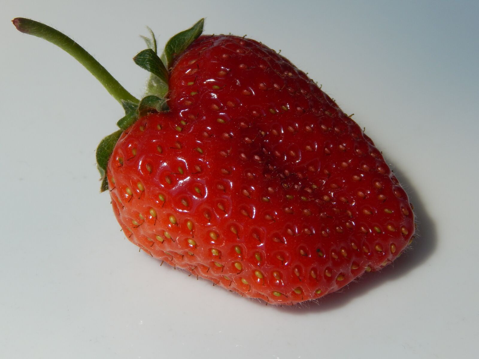 Nikon Coolpix L830 sample photo. Fruit, strawberry, food photography