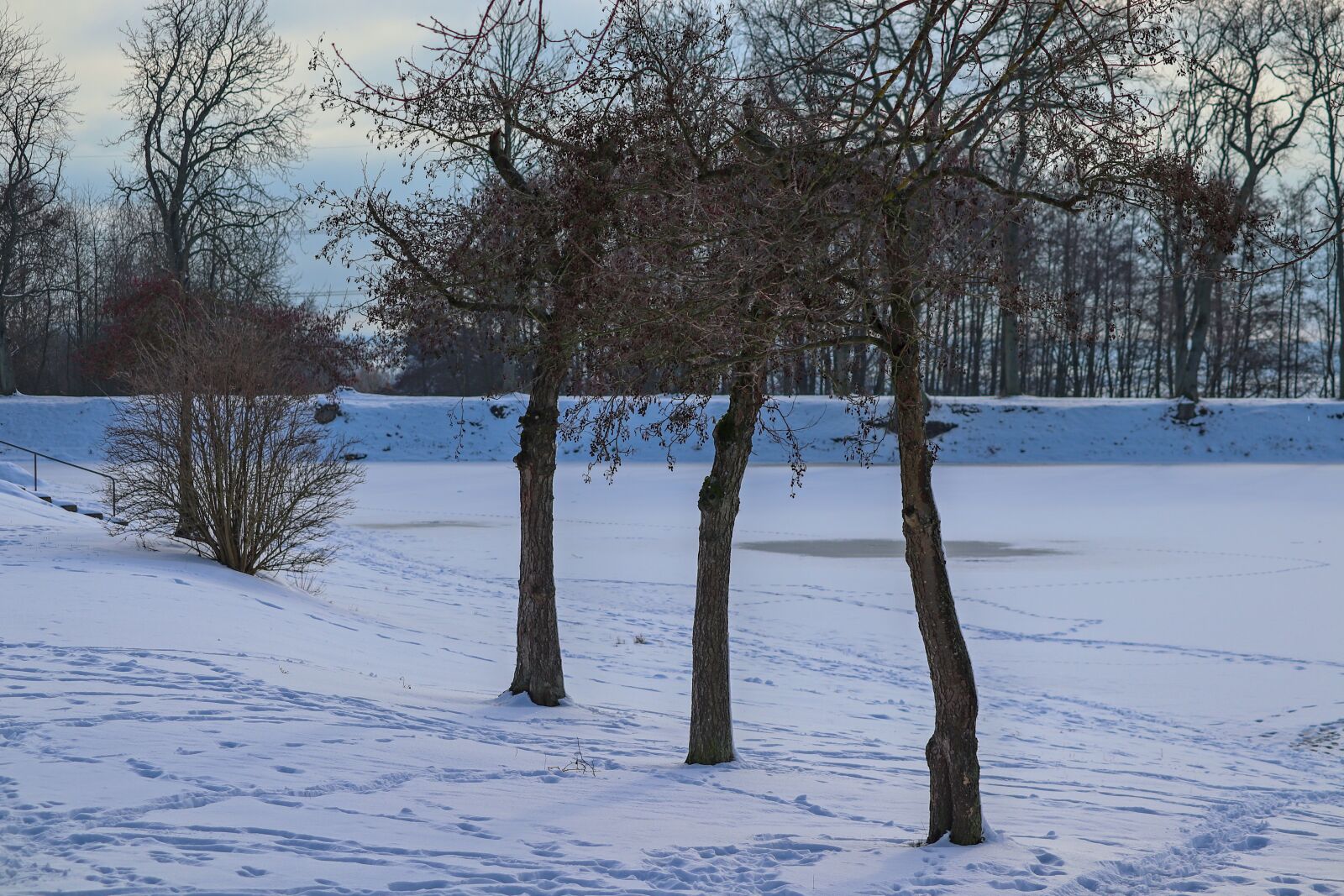 Canon EOS 200D (EOS Rebel SL2 / EOS Kiss X9) sample photo. Wintry, lakeside, frozen photography