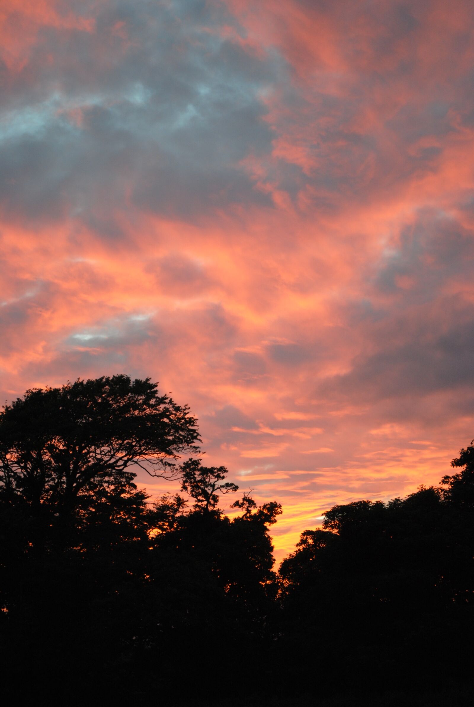 Nikon D3000 sample photo. Sunset, evening, silhouette photography
