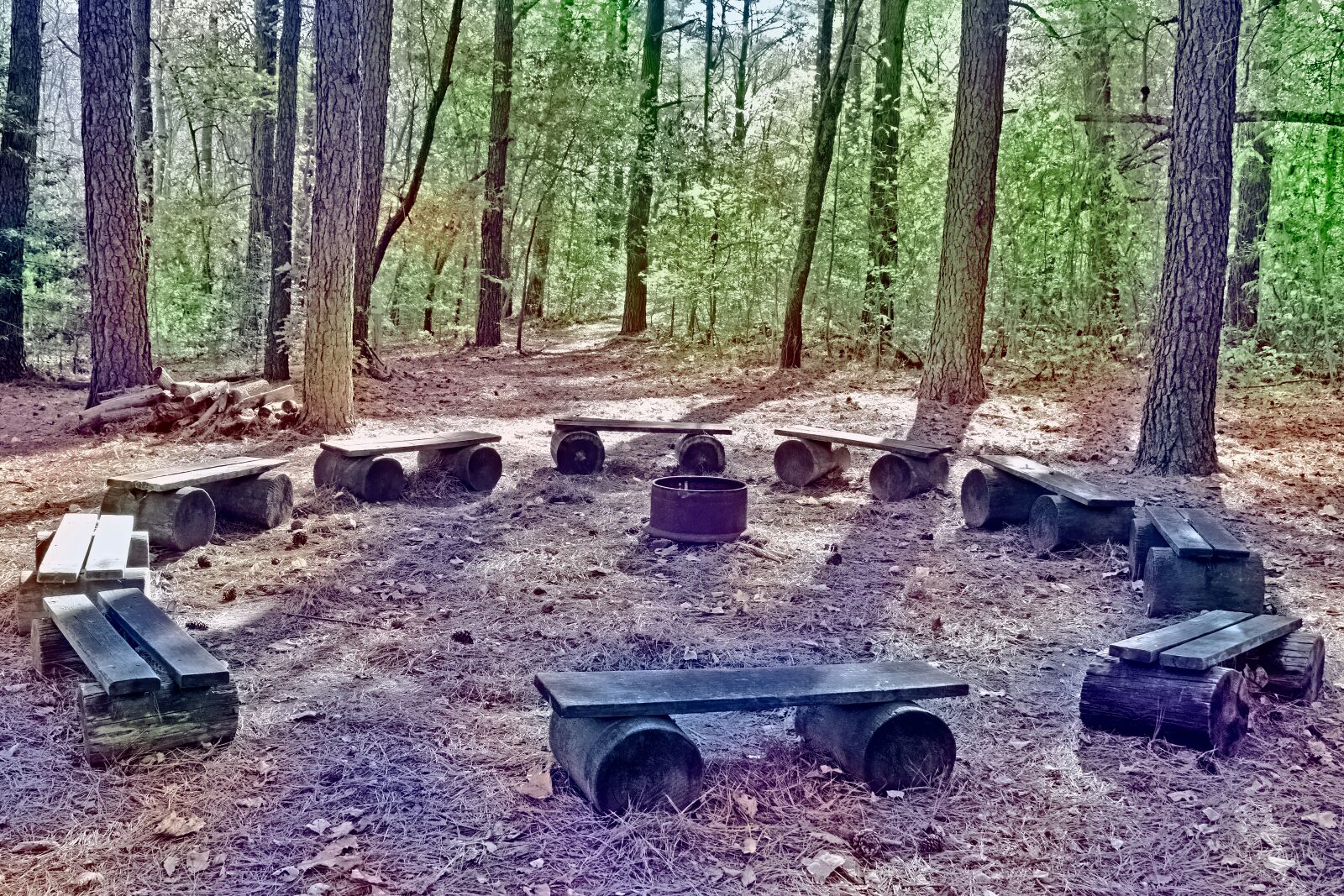 Nikon D3300 sample photo. Camp, meeting, bench photography