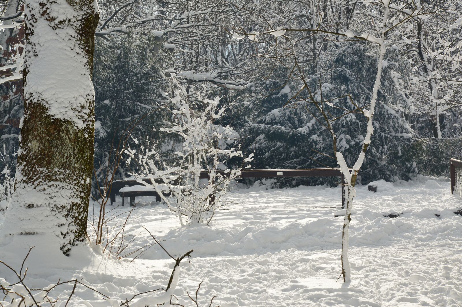 Nikon D3200 sample photo. Snow, snowy, landscape photography