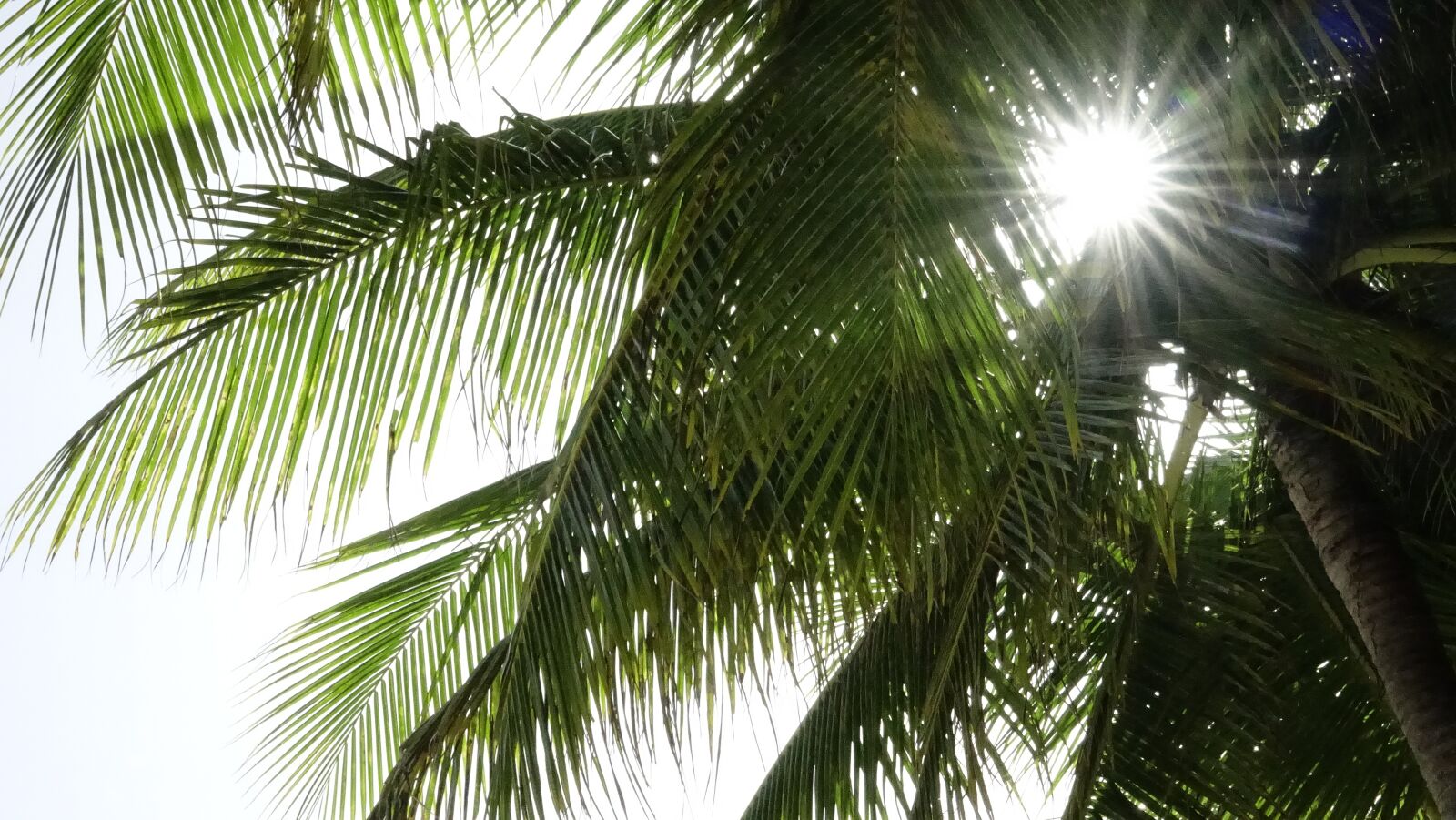 Sony Cyber-shot DSC-RX10 III sample photo. Solar, beach, mobile photography