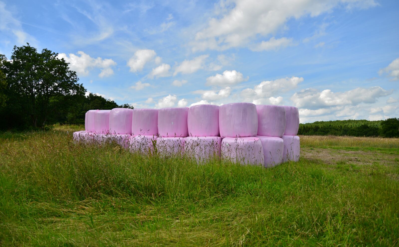 Nikon D600 sample photo. Silage, grass, harvest photography