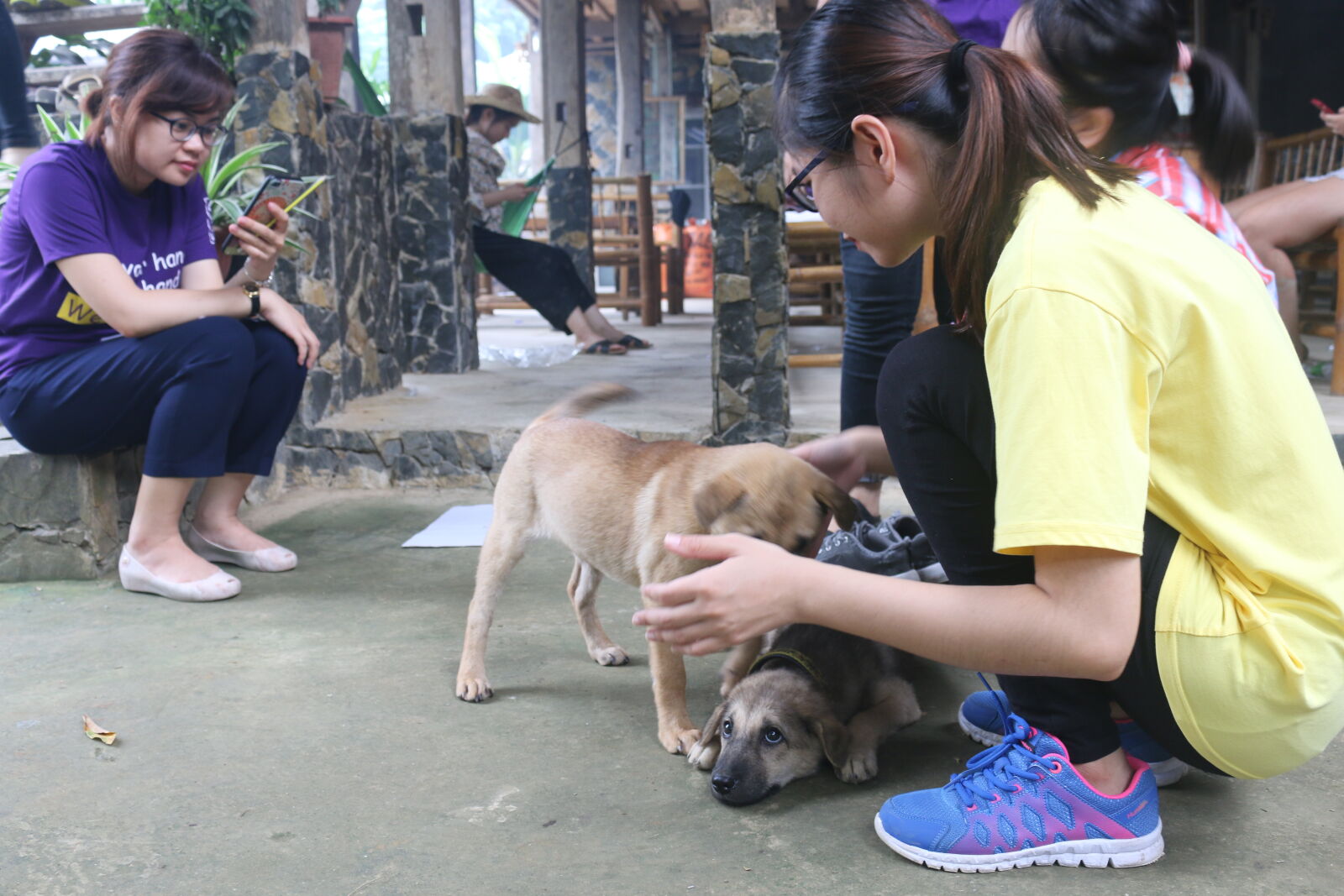 Canon EOS 70D sample photo