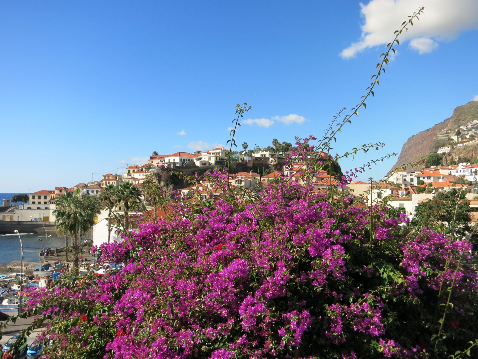 Canon PowerShot S110 sample photo. Madeira, flower island, portugal photography