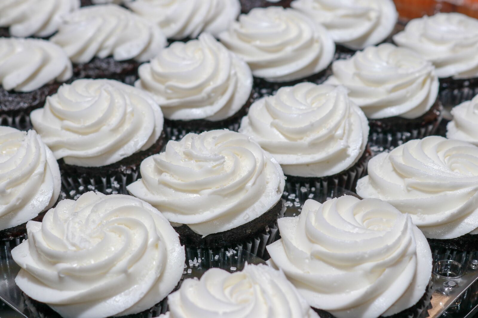 Canon EOS 80D sample photo. Cup, cake, delicious photography