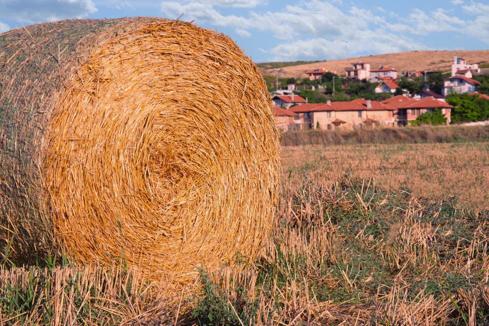 Nikon D7200 sample photo. Round, barley, stack photography