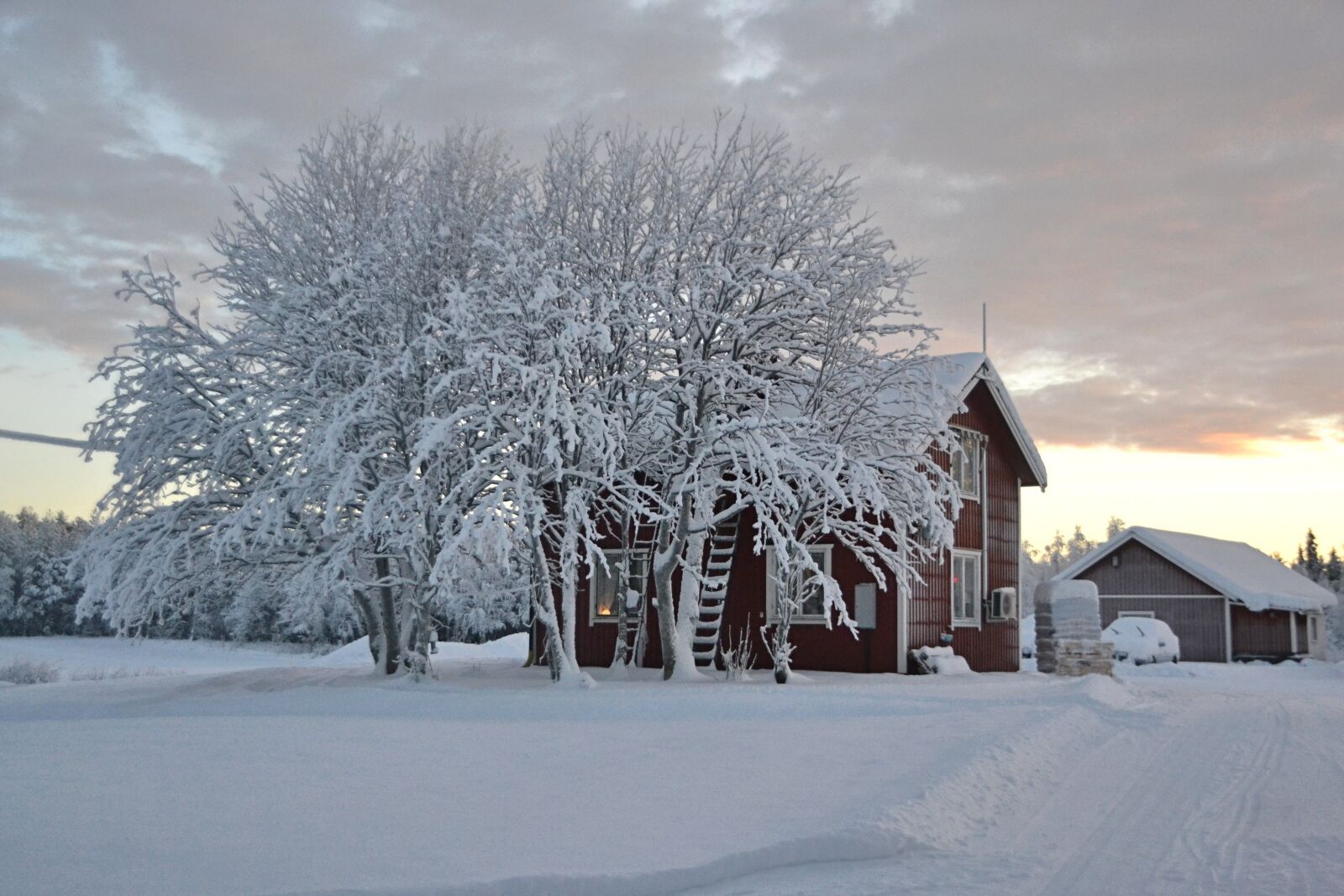 Nikon D3100 sample photo. Lapland, sweden, snow photography