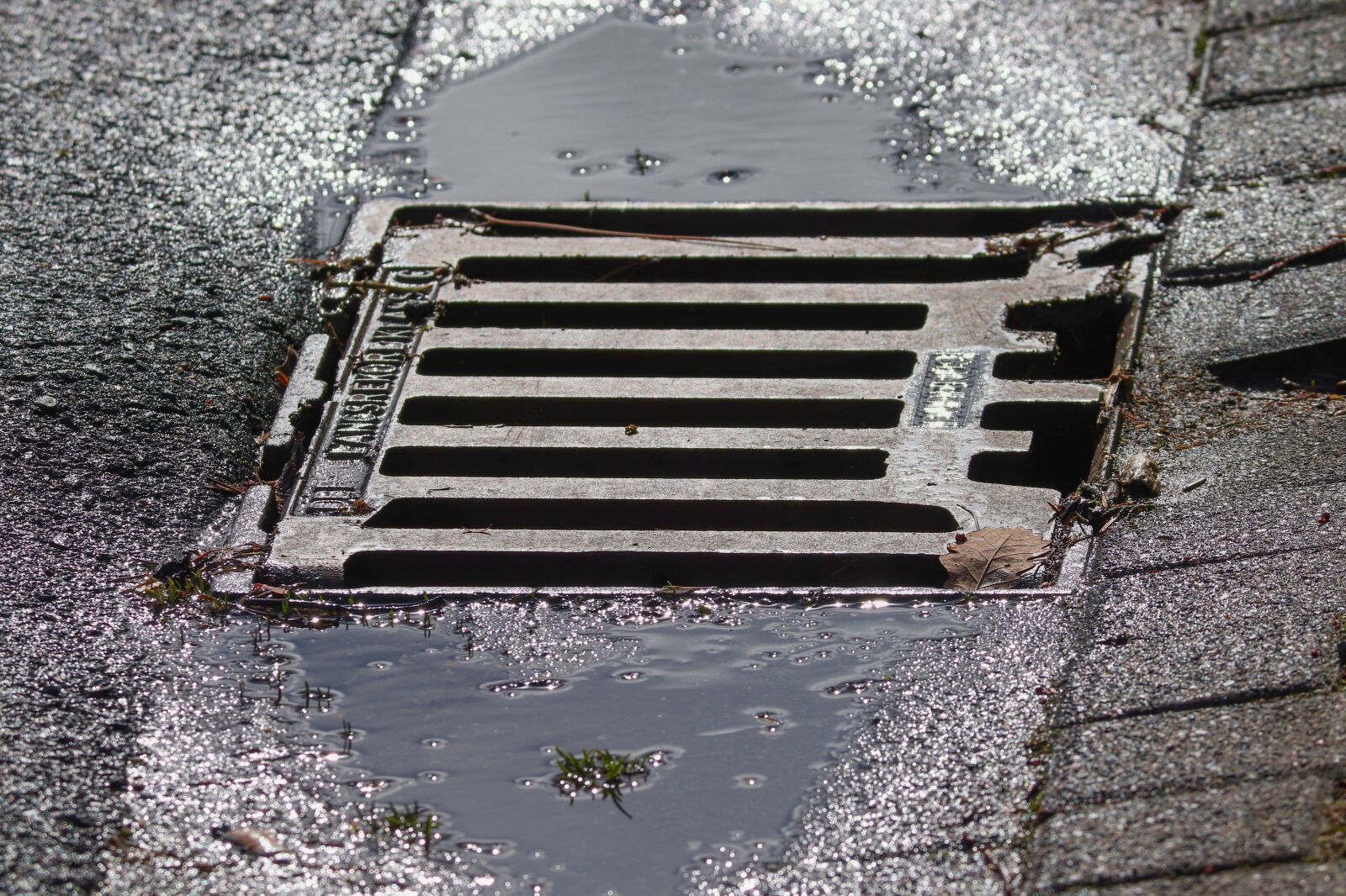 Canon EOS 200D (EOS Rebel SL2 / EOS Kiss X9) sample photo. Drain, gully, metal photography
