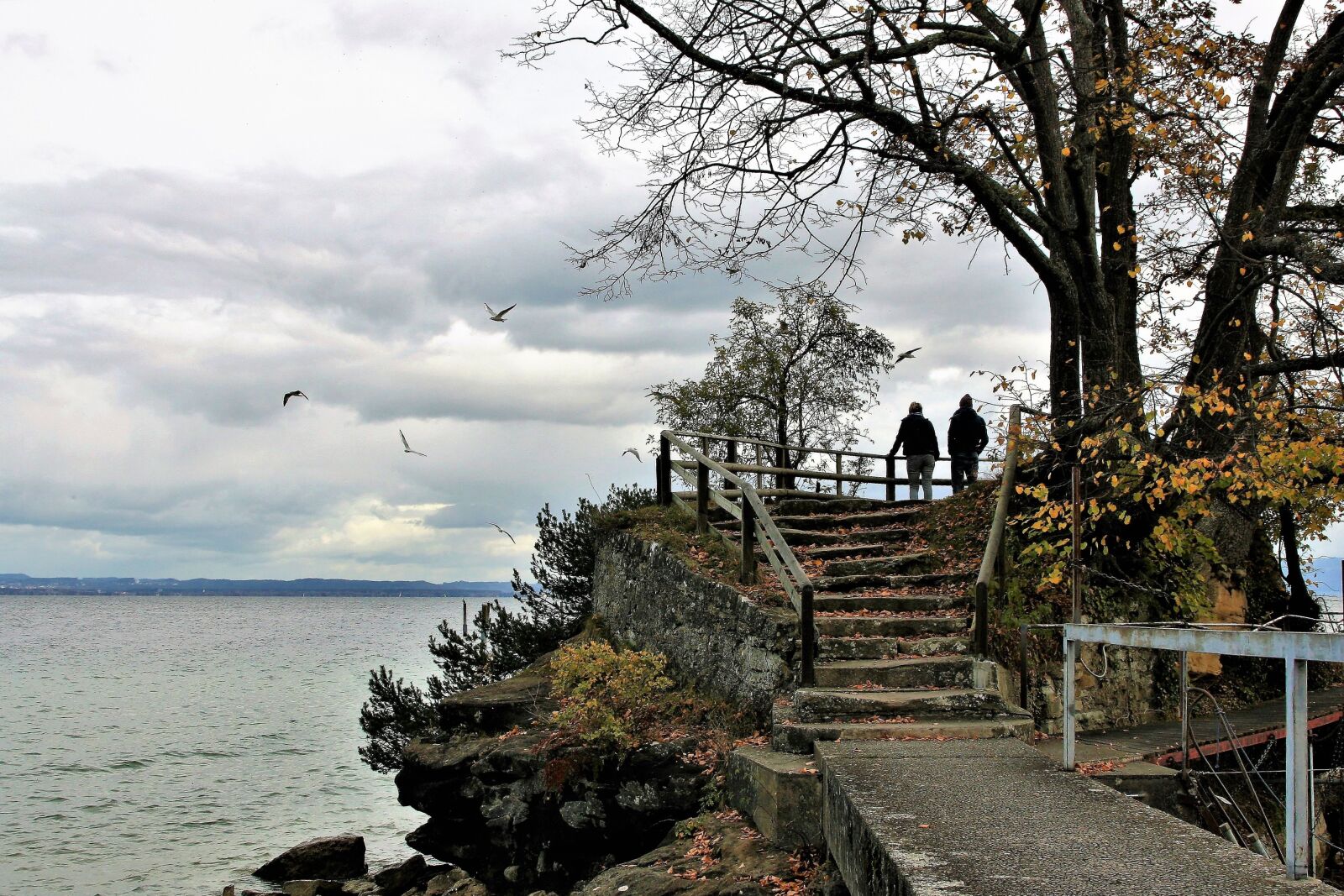 Canon EOS 400D (EOS Digital Rebel XTi / EOS Kiss Digital X) sample photo. Stairs, para, lake photography