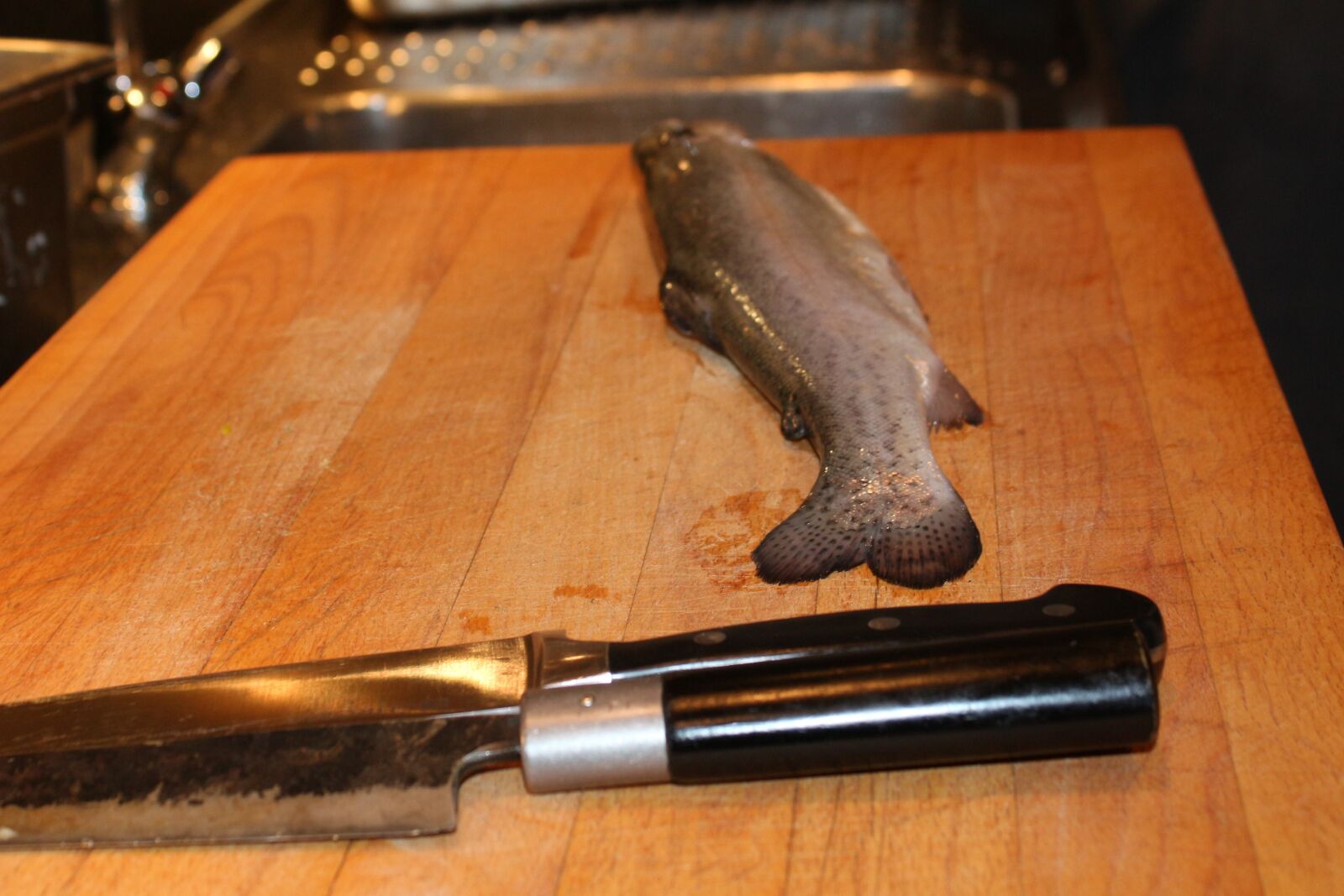 Canon EF-S 18-55mm F3.5-5.6 IS sample photo. Fish, kitchen, knife photography