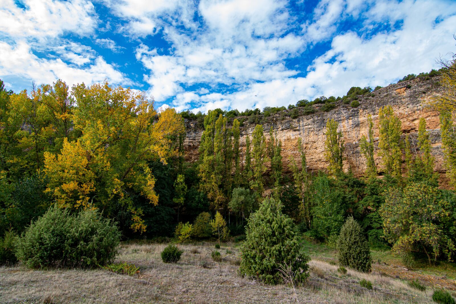 Nikon D7100 sample photo. Sickles, river, trees photography