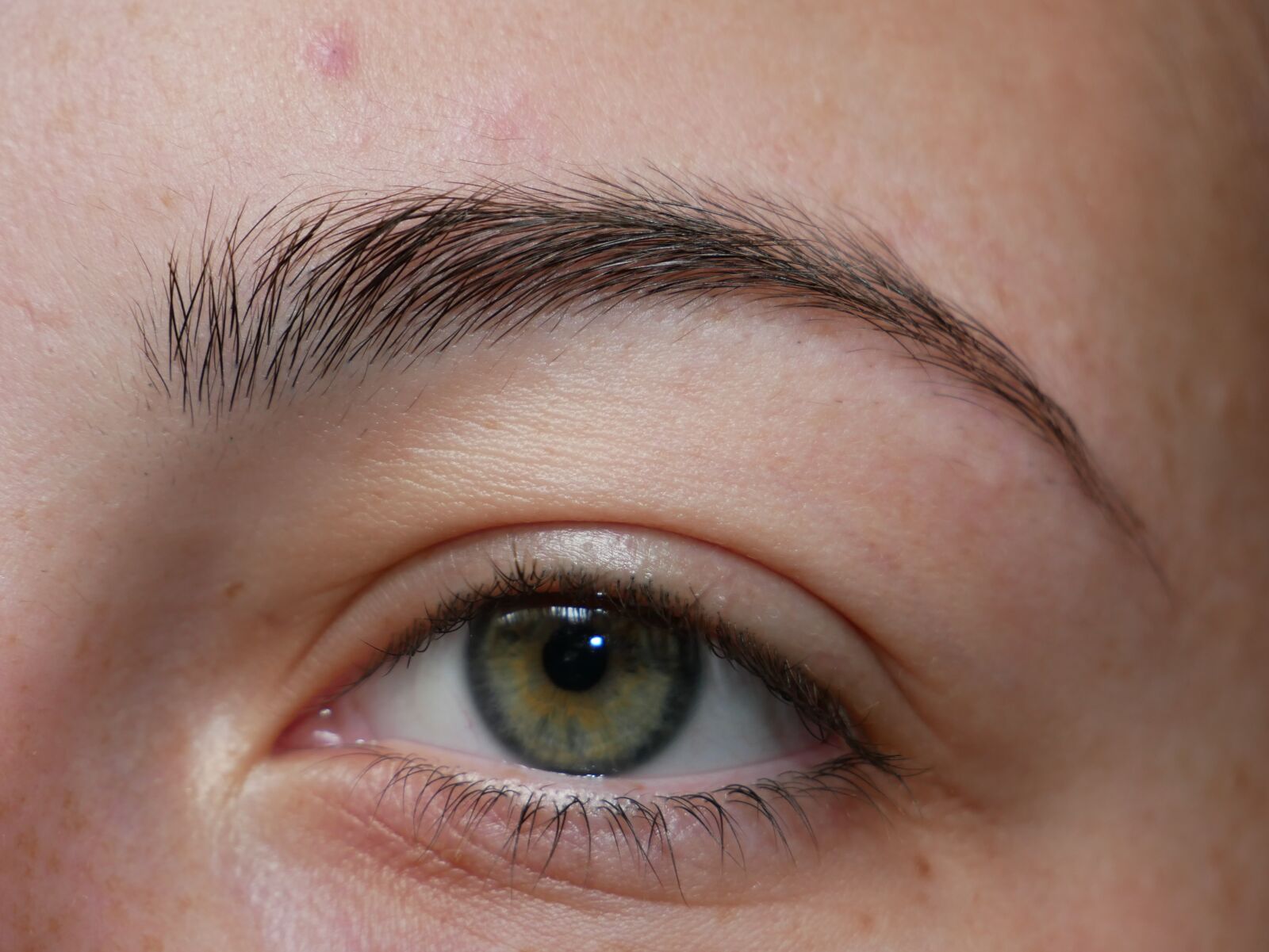 Panasonic Lumix DMC-G85 (Lumix DMC-G80) sample photo. Eye, face, girl photography
