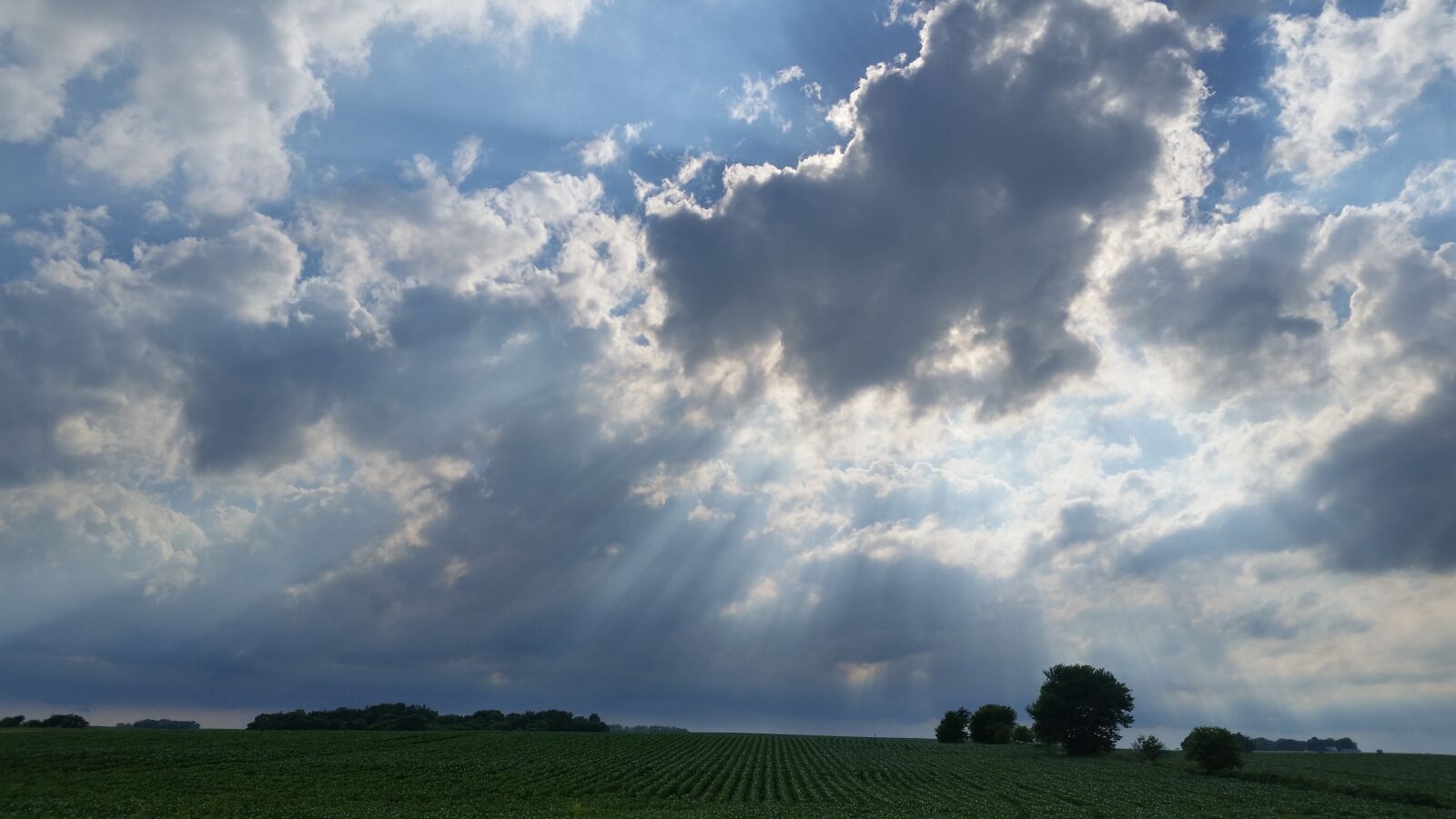 Samsung Galaxy S5 sample photo. Sun rays, sun, sky photography