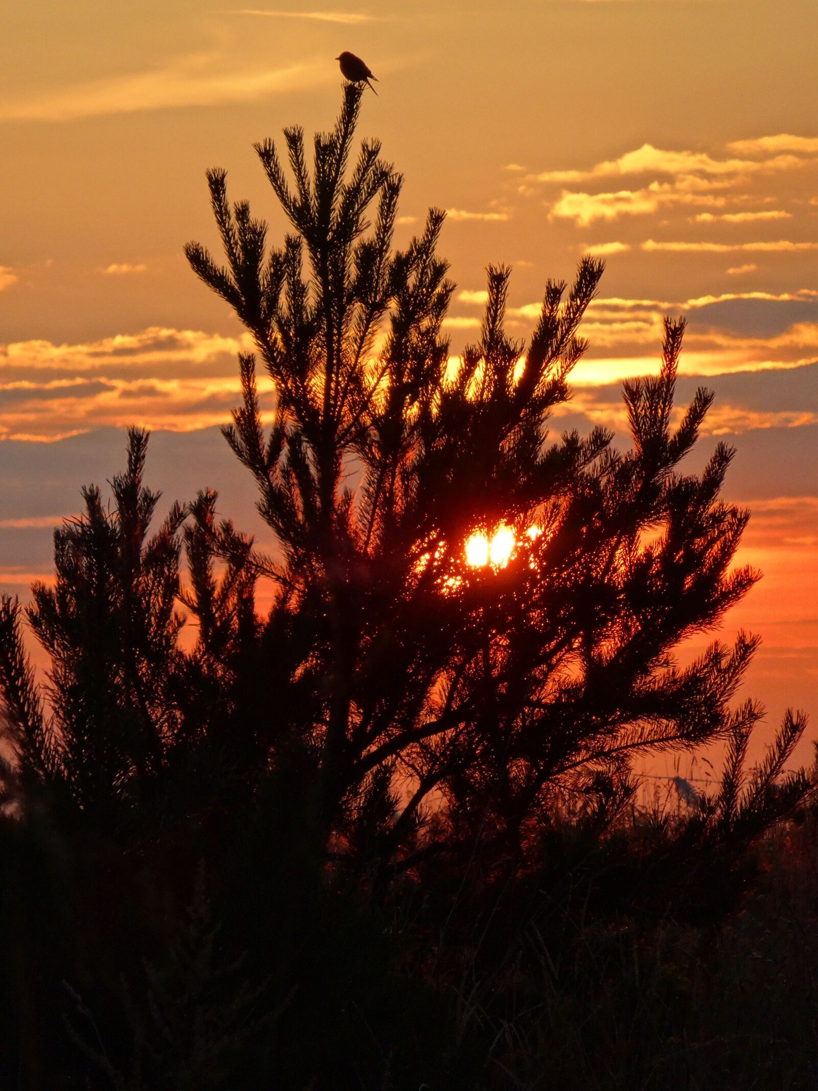 Sony Cyber-shot DSC-WX300 sample photo. Olkusz, poland, sunset photography