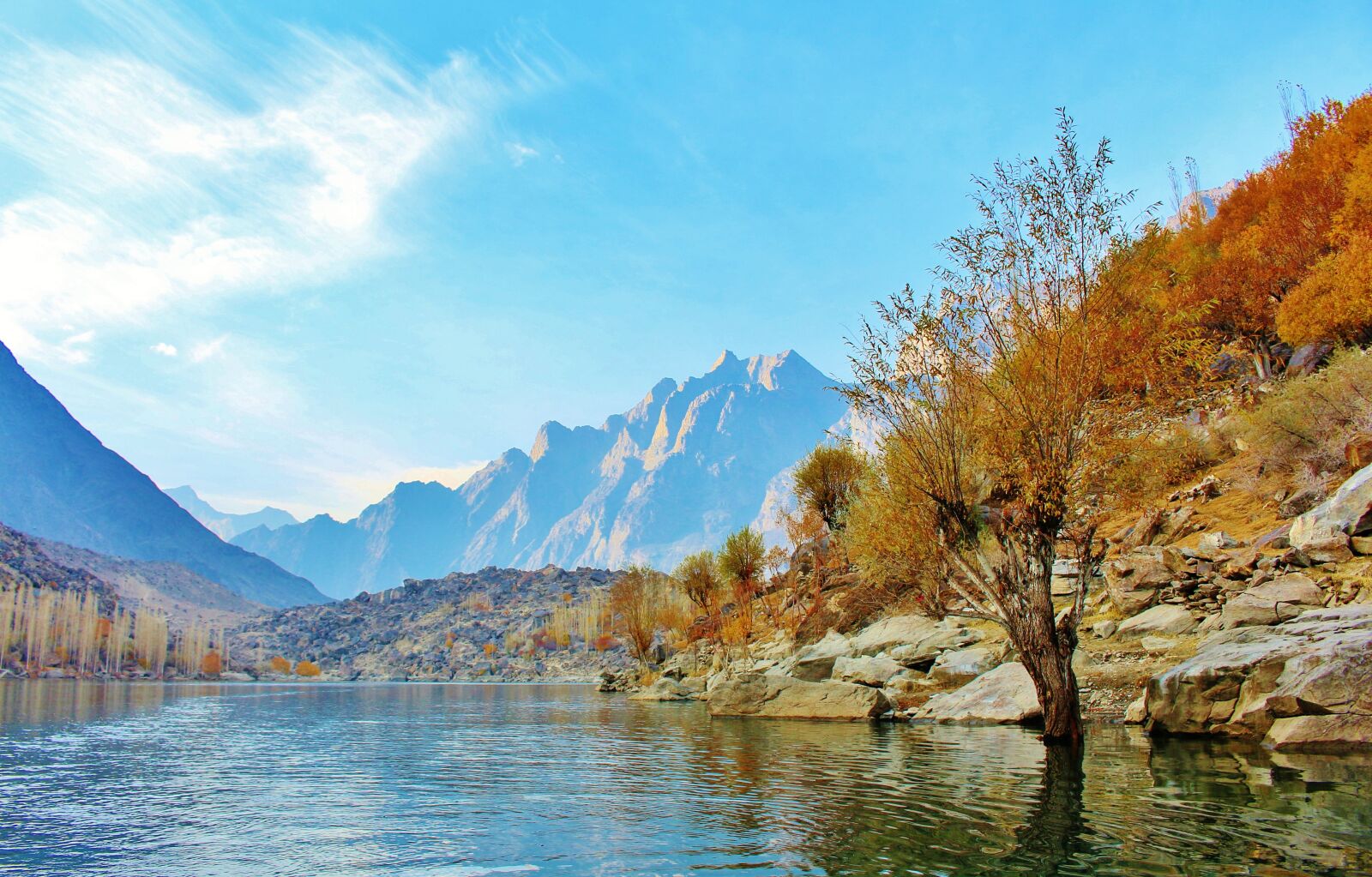 Canon EOS 700D (EOS Rebel T5i / EOS Kiss X7i) sample photo. Tree, lake, pakistan photography