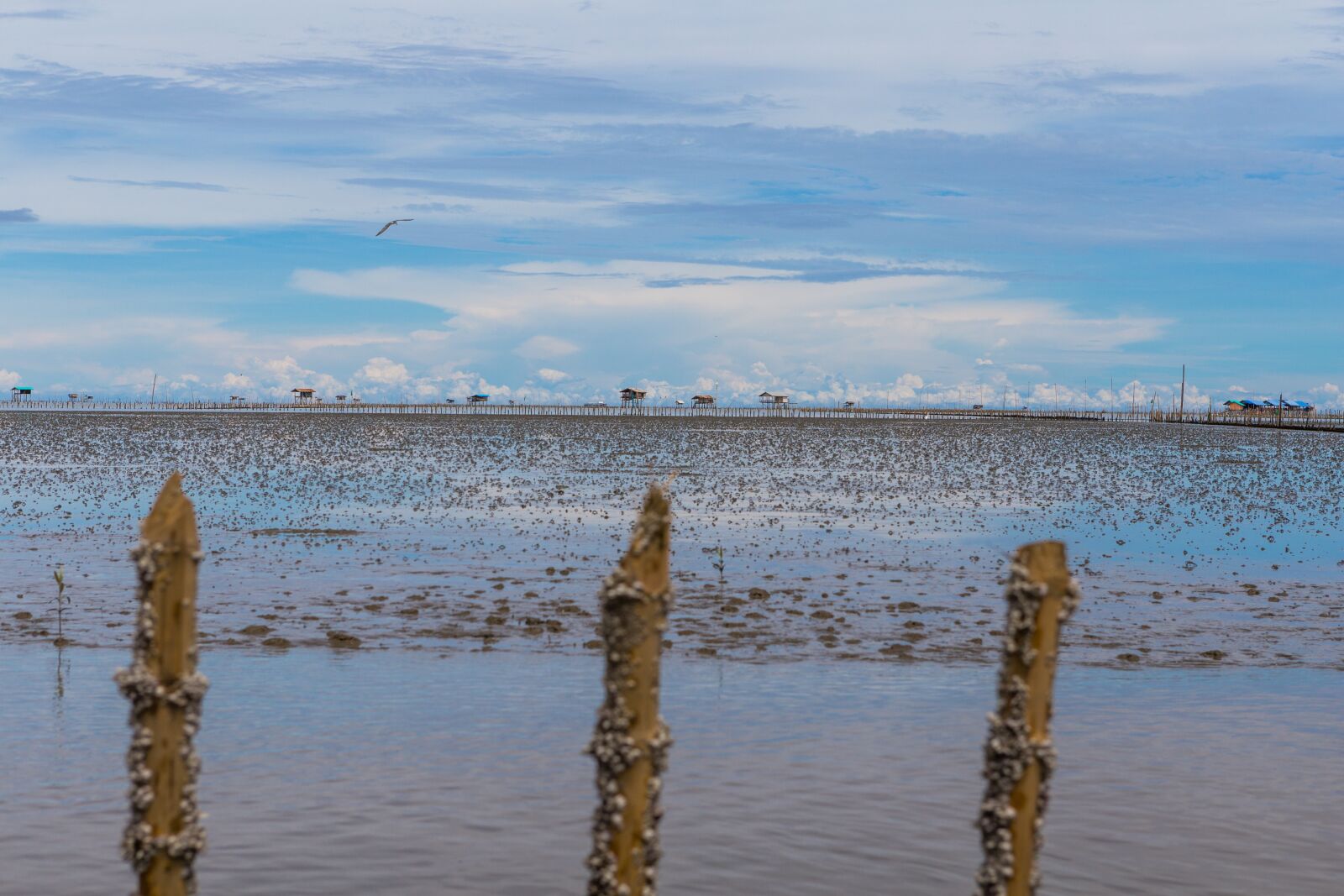 Canon EOS 6D + Canon EF 24-70mm F2.8L USM sample photo. Klong, klongkhone, sea photography