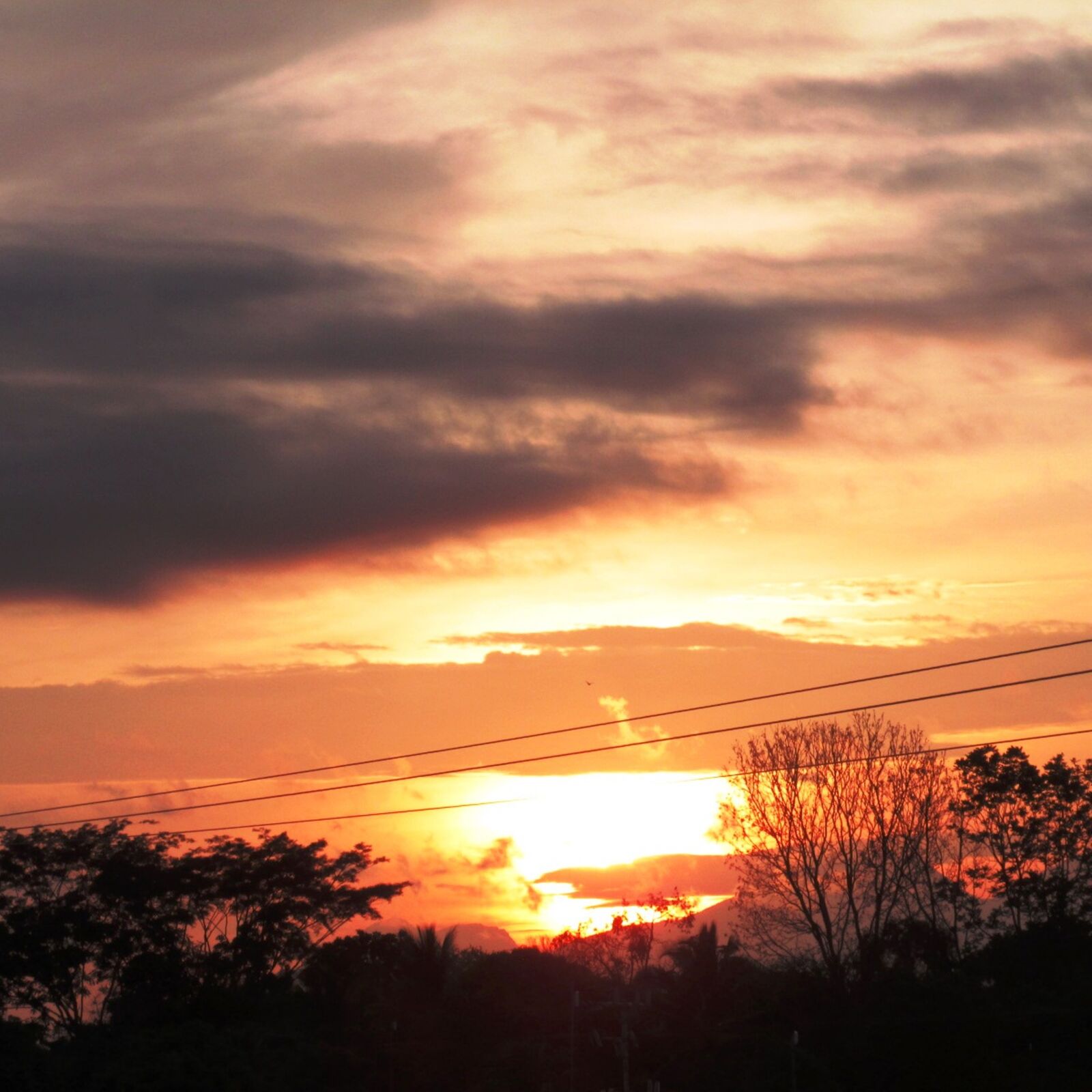 Canon PowerShot SX160 IS sample photo. Naturaleza, atardecer, nueva bolivia photography