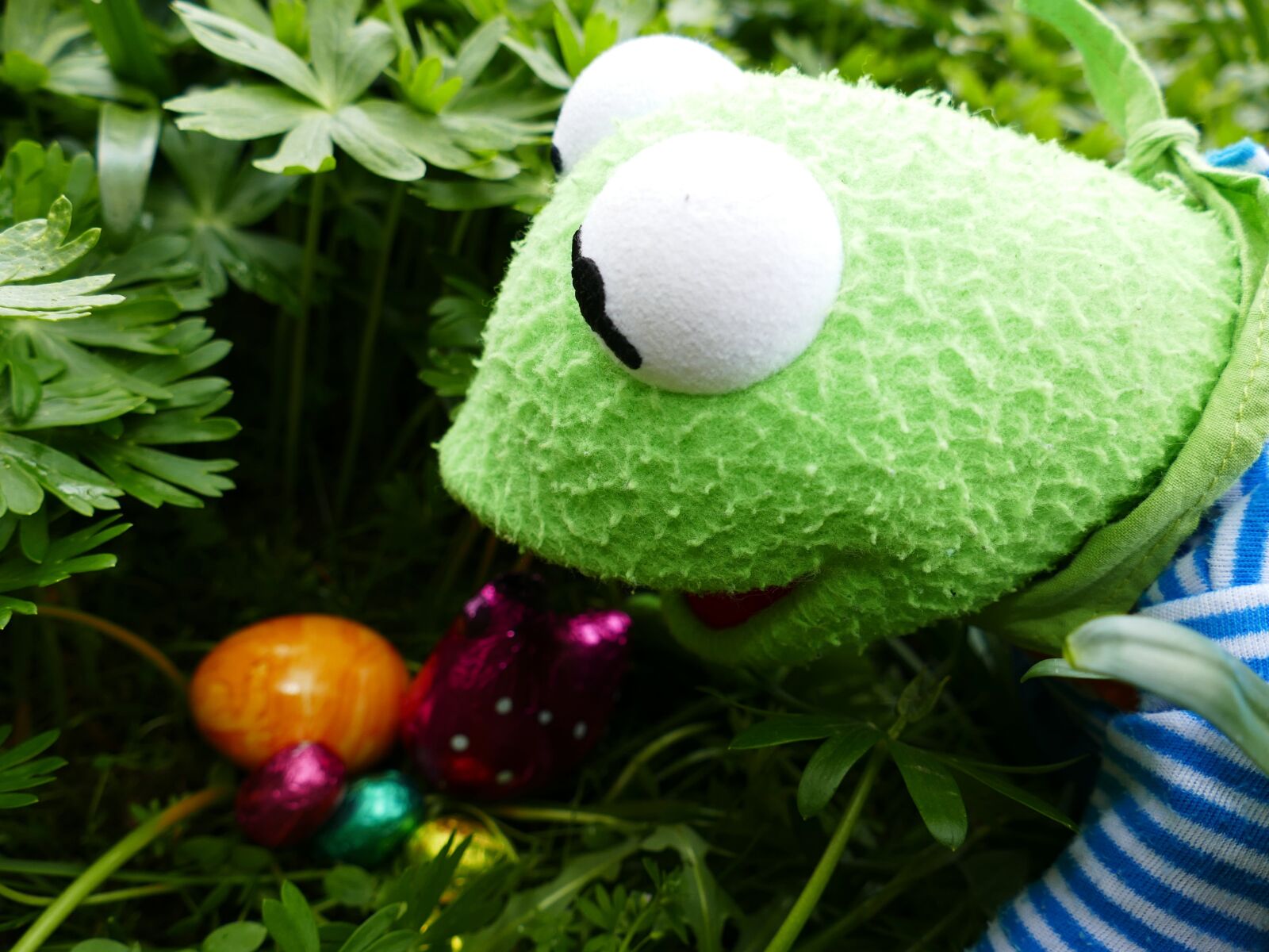 Panasonic Lumix DMC-FZ1000 sample photo. Easter, search, easter eggs photography